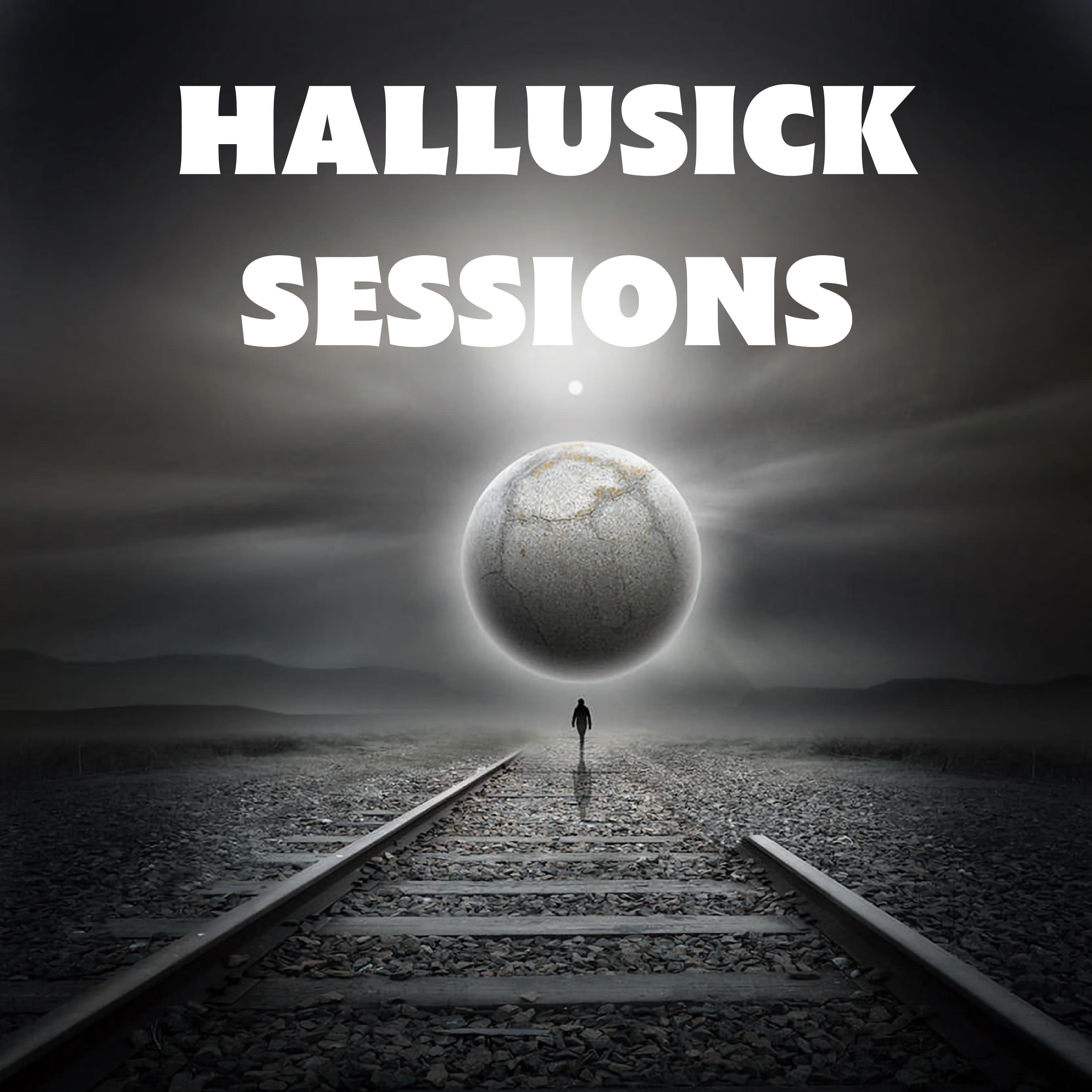 Постер альбома Hallusick Sessions #1 Minha Trippy