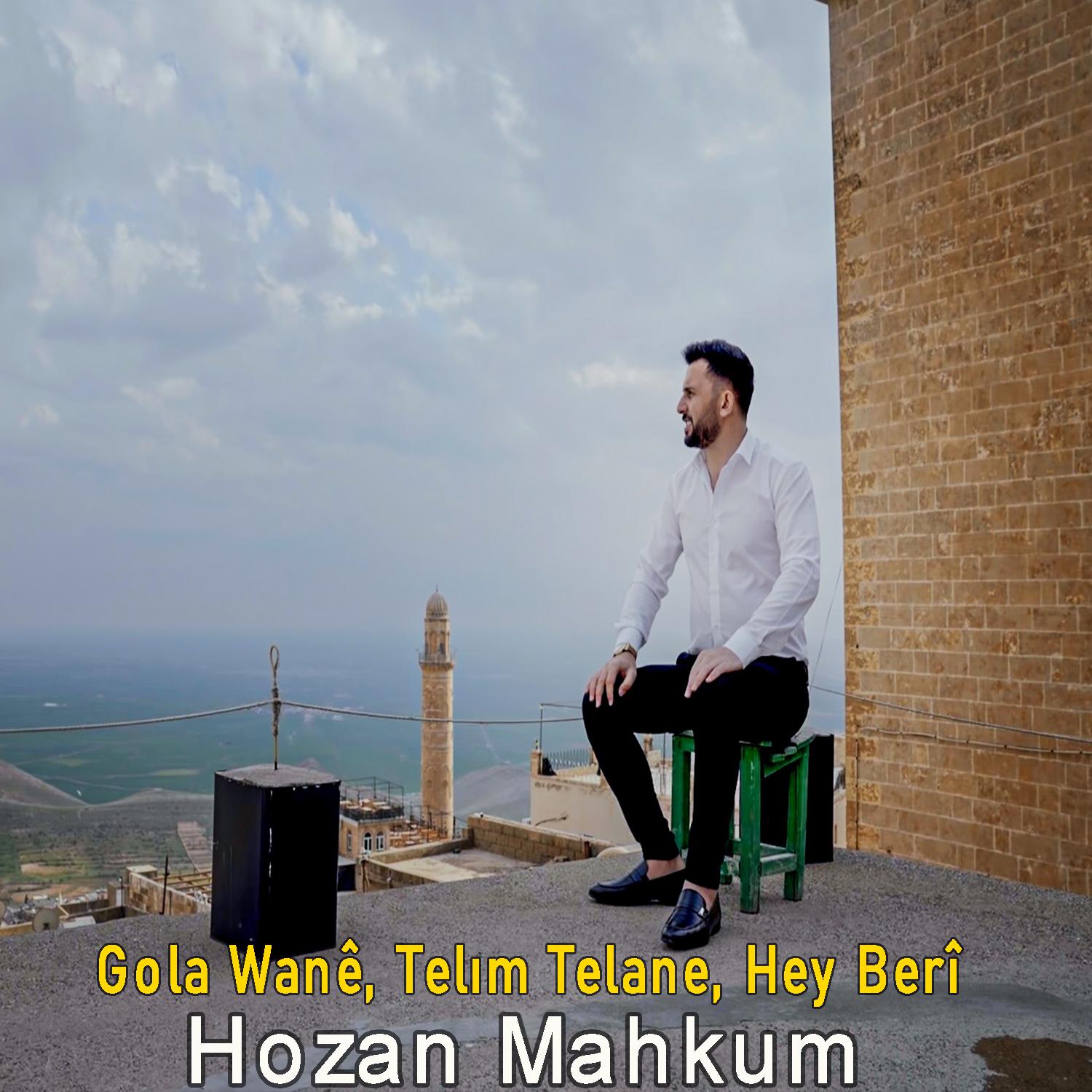 Постер альбома Gola Wanê / Telım Telane / Hey Berî