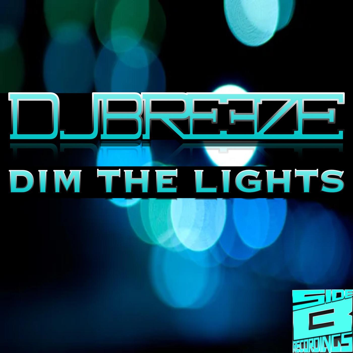Постер альбома Dim The Lights