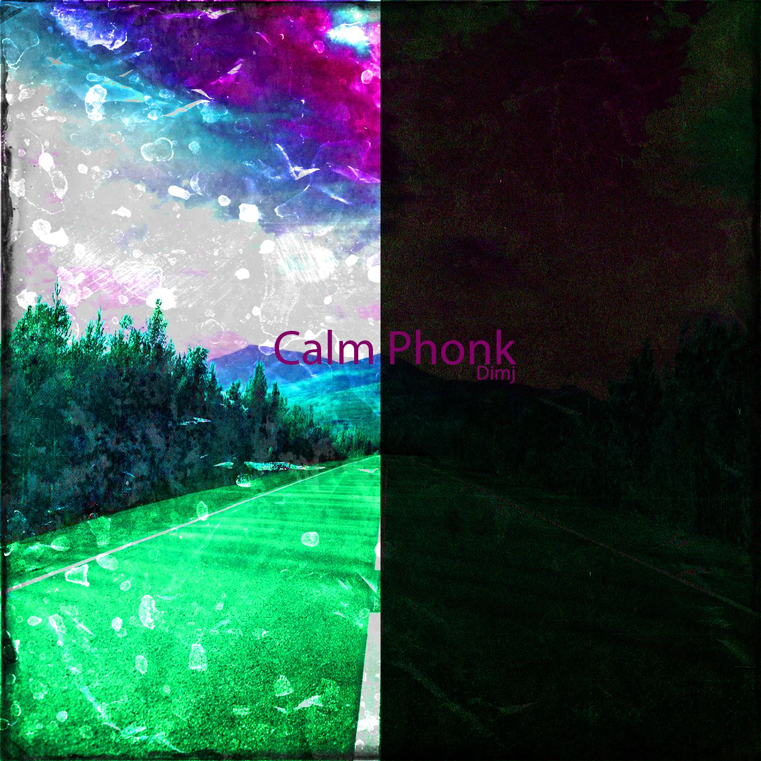 Постер альбома Calm Phonk