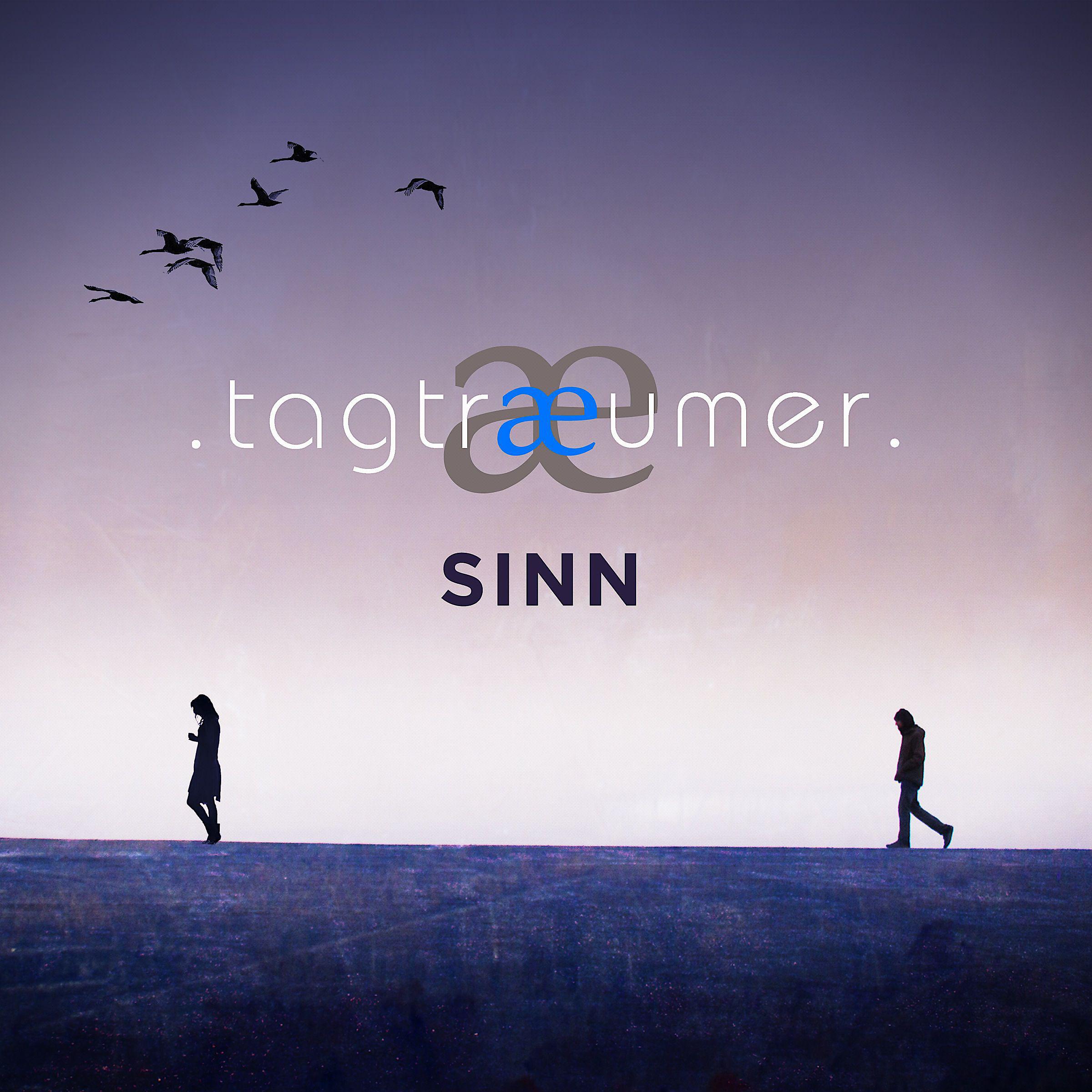 Постер альбома Sinn