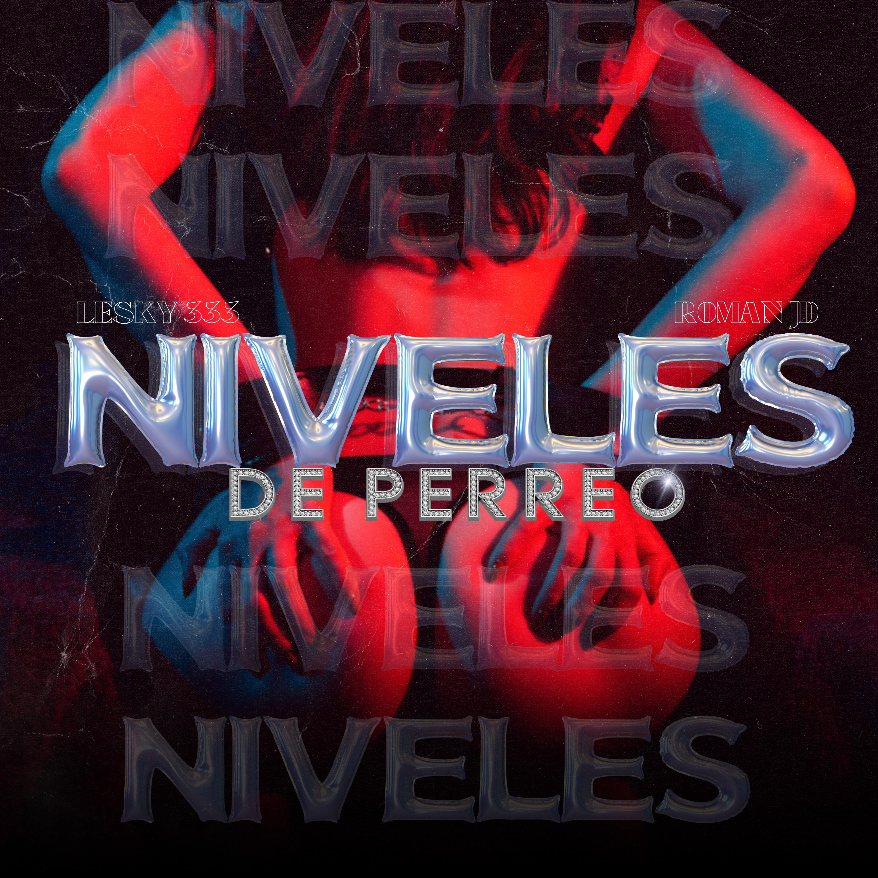 Постер альбома Niveles de Perreo