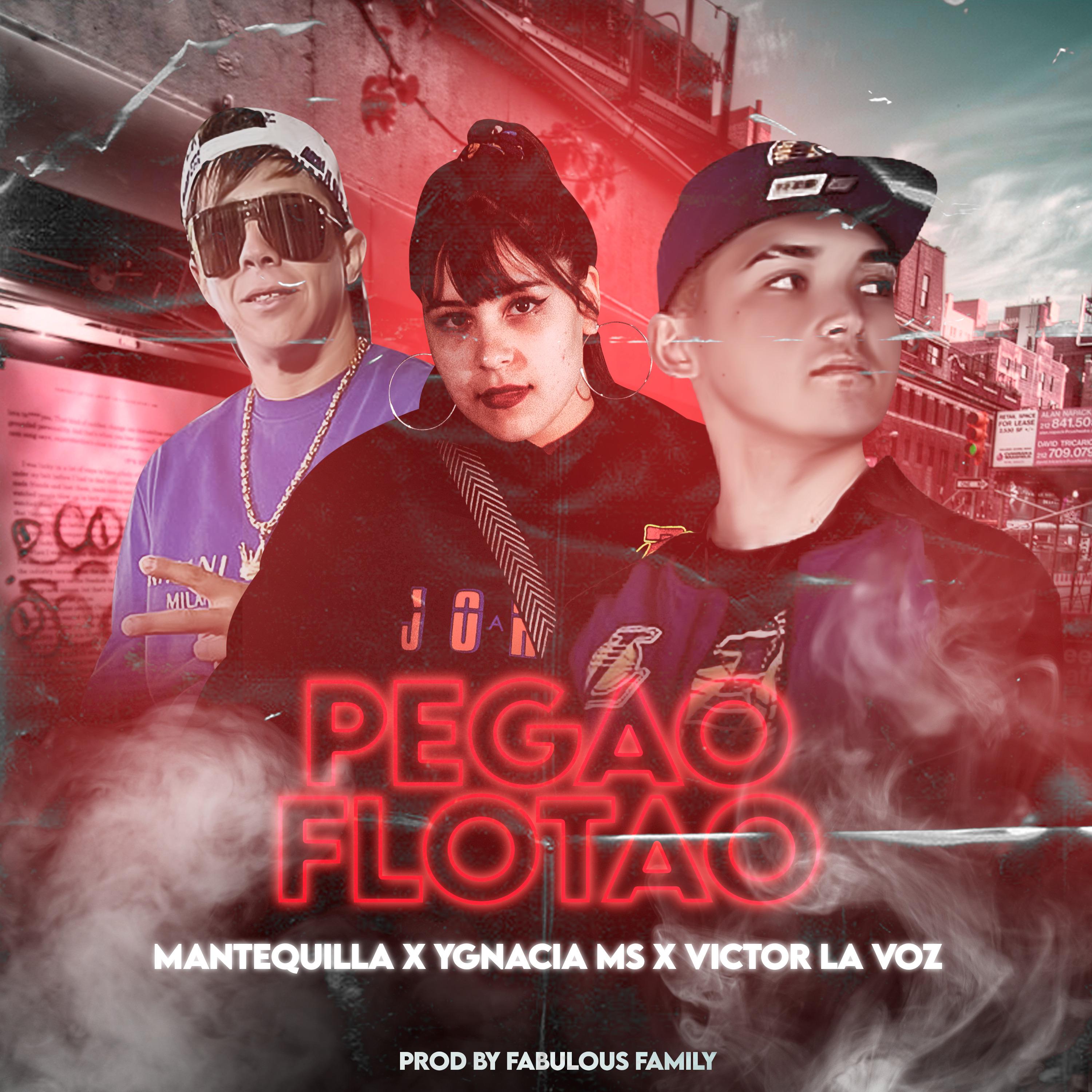Постер альбома Pegao Flotao