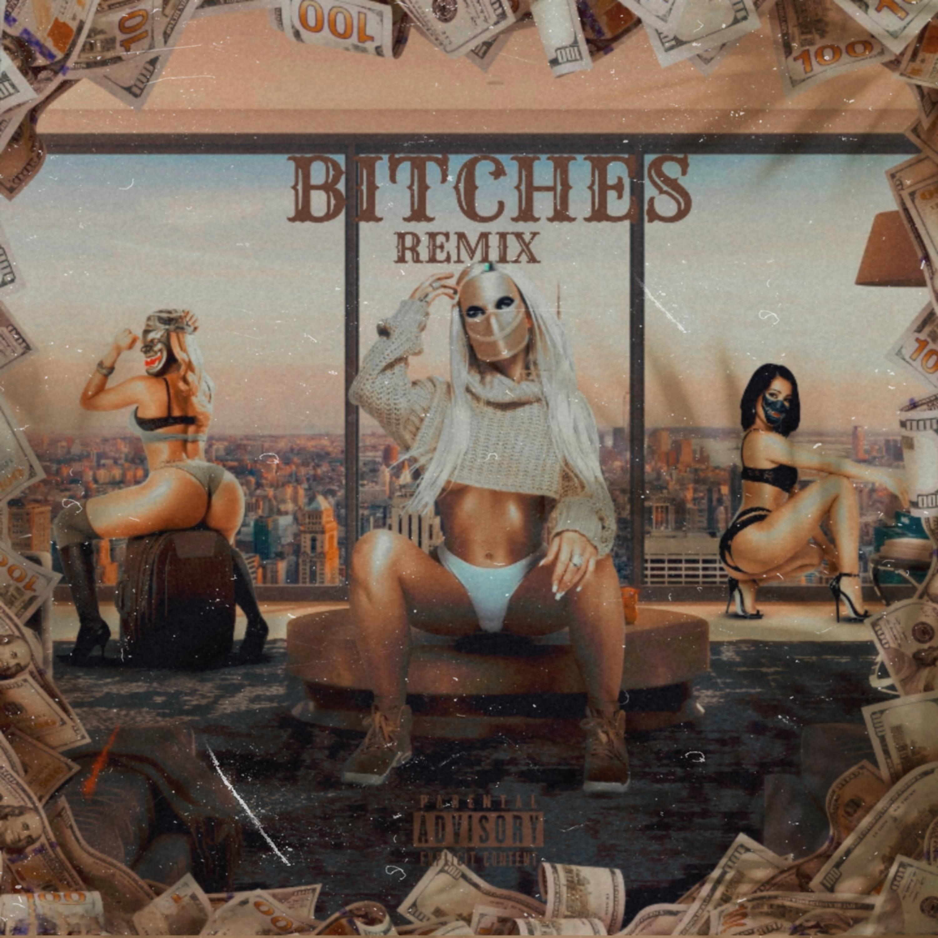 Постер альбома Bitches