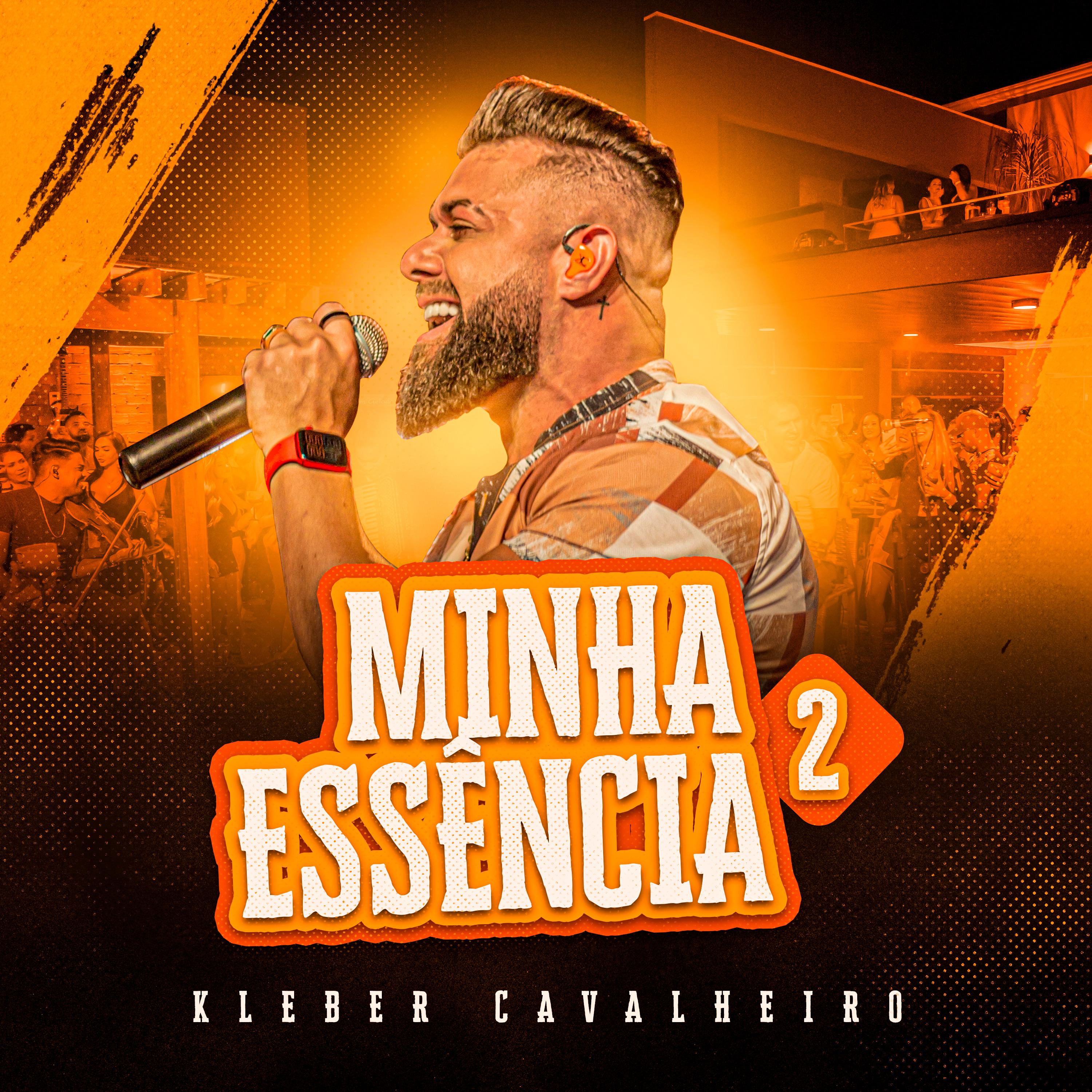 Постер альбома Minha Essência 2