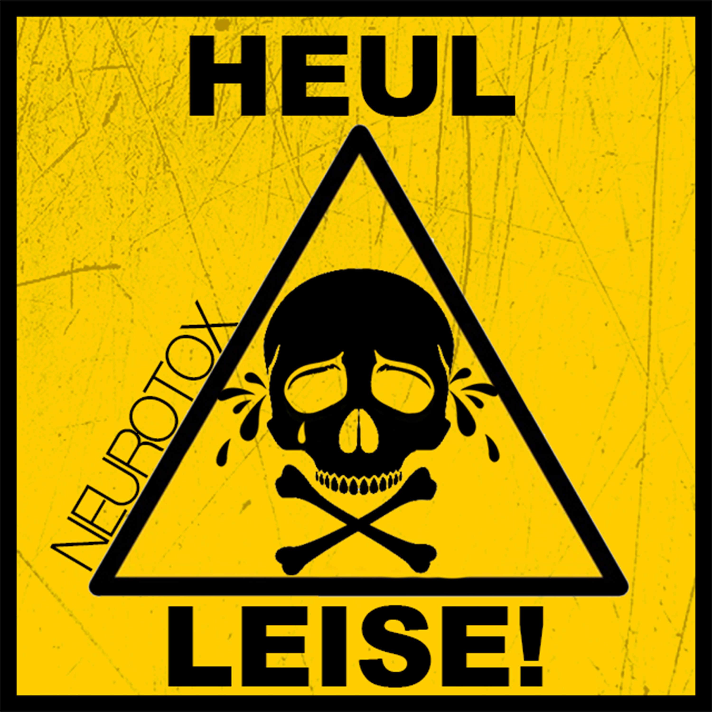 Постер альбома Heul leise