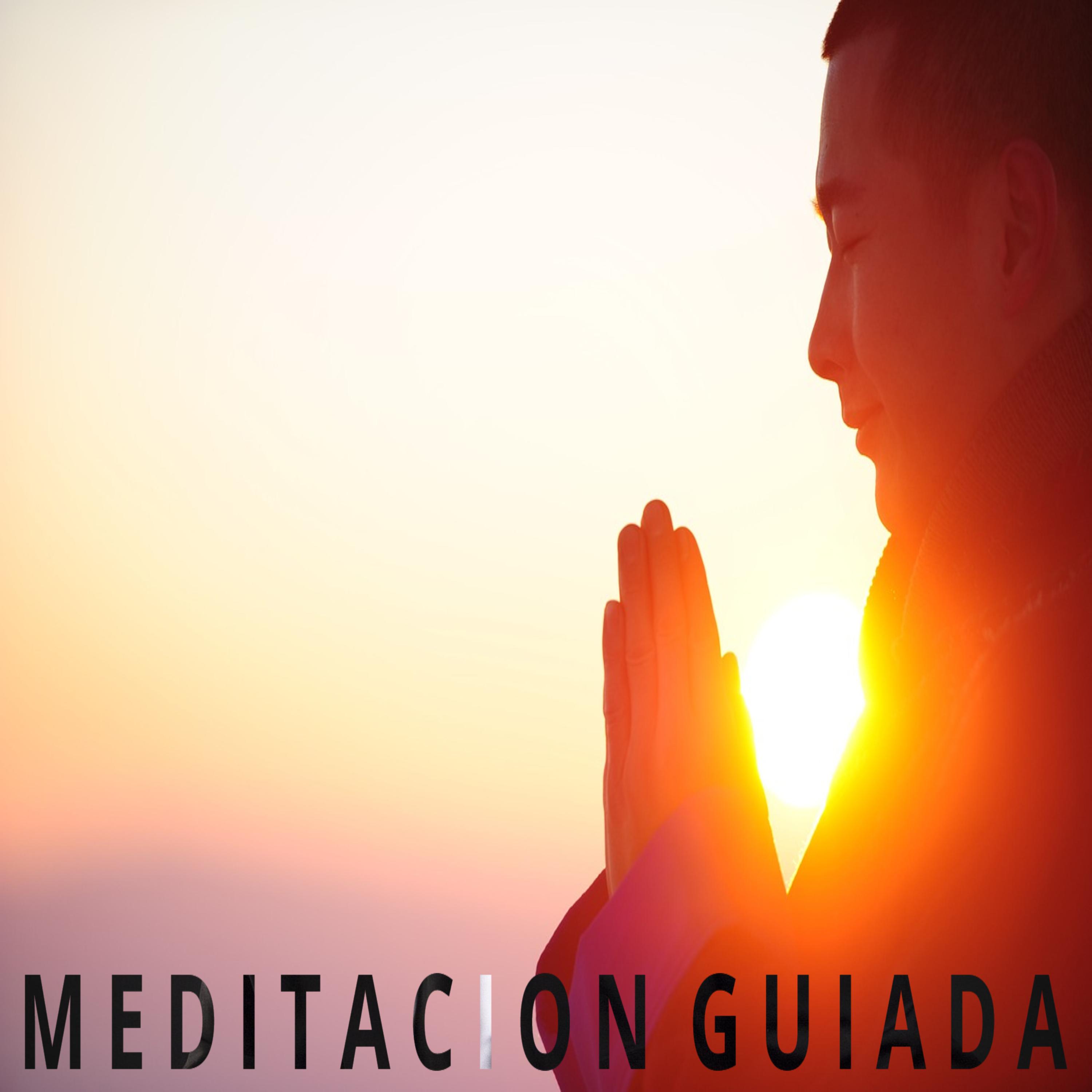 Постер альбома Meditación Guiada