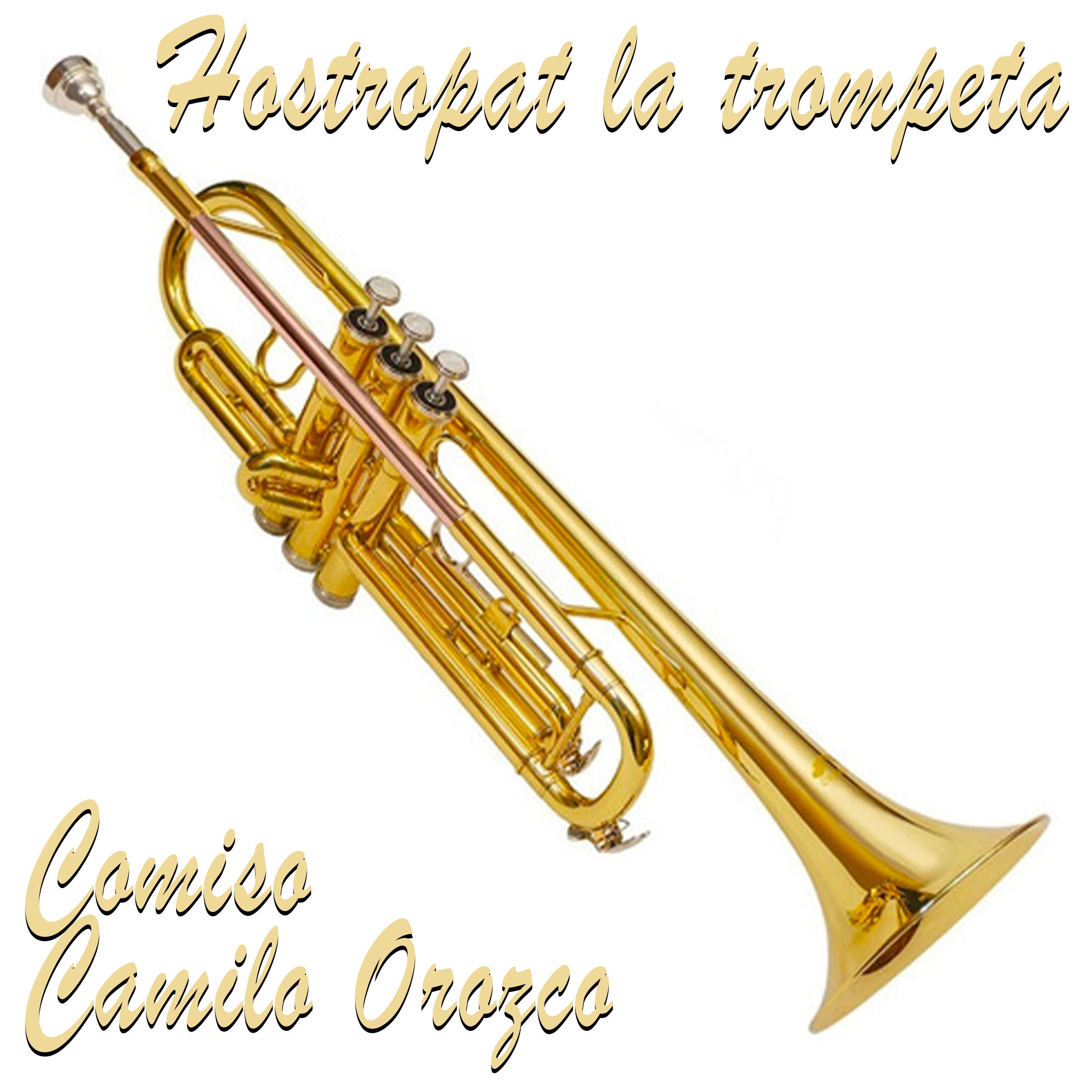 Постер альбома Hostropat la trompeta