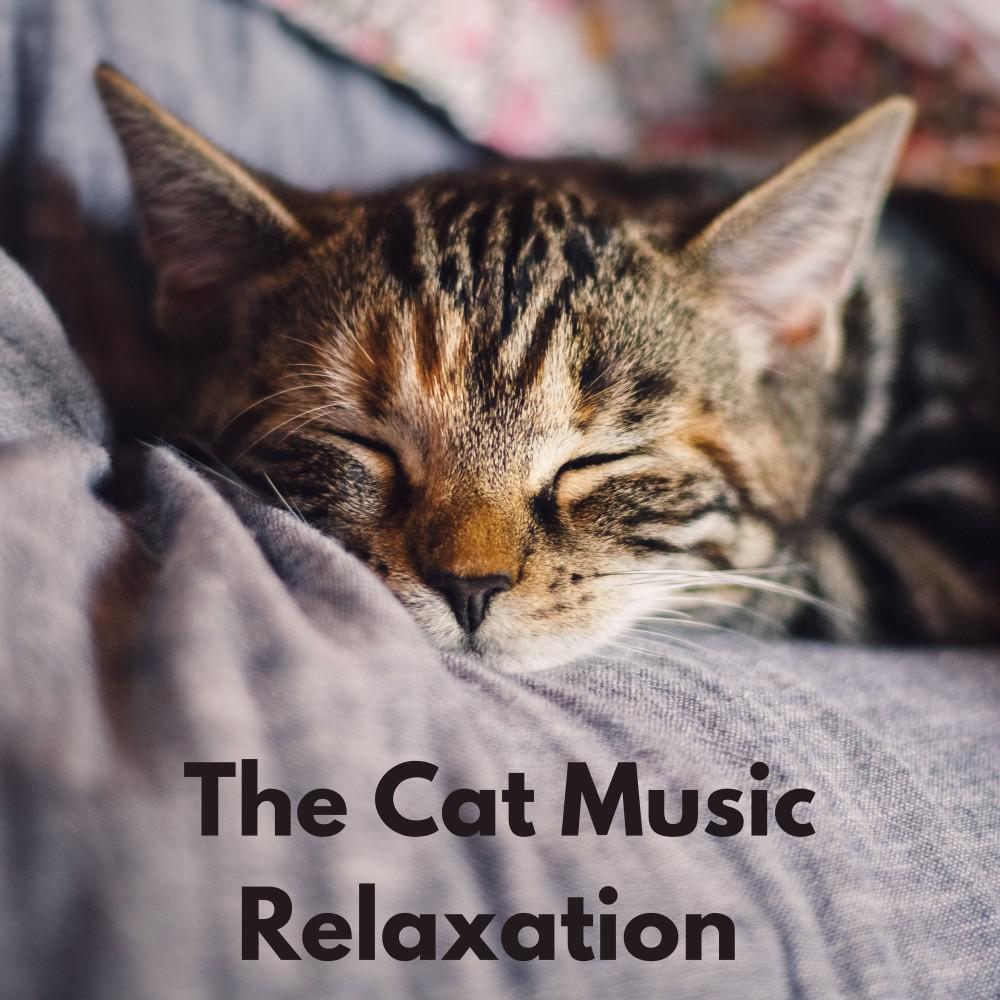 Постер альбома The Cat Music Relaxation
