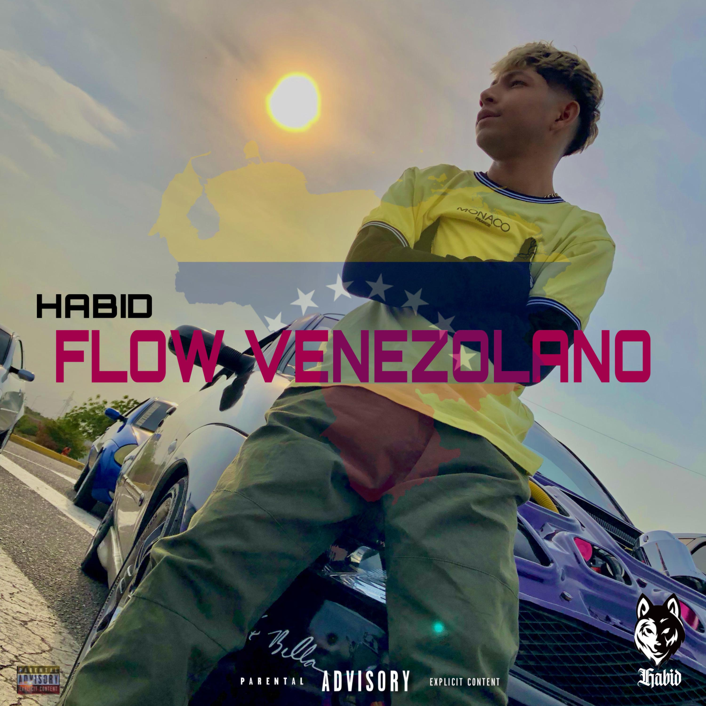 Постер альбома Flow Venezolano