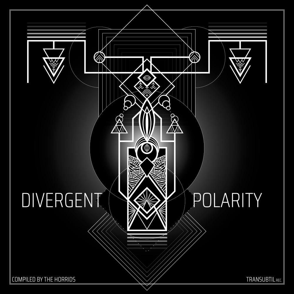 Постер альбома Divergent Polarity (Original)