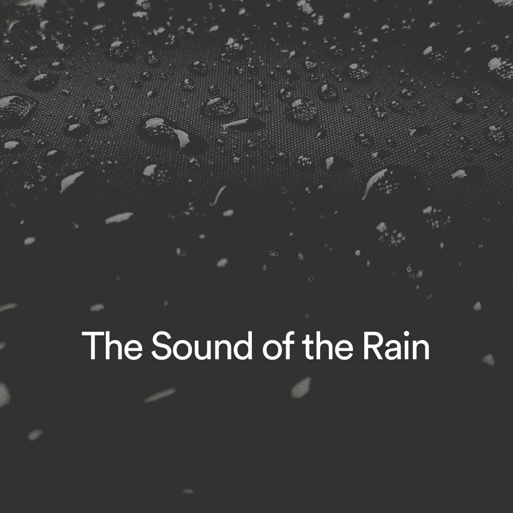 Постер альбома The Sound of the Rain