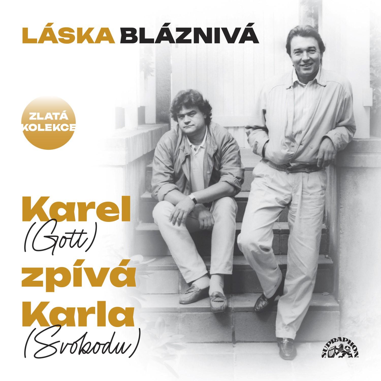 Постер альбома Láska bláznivá
