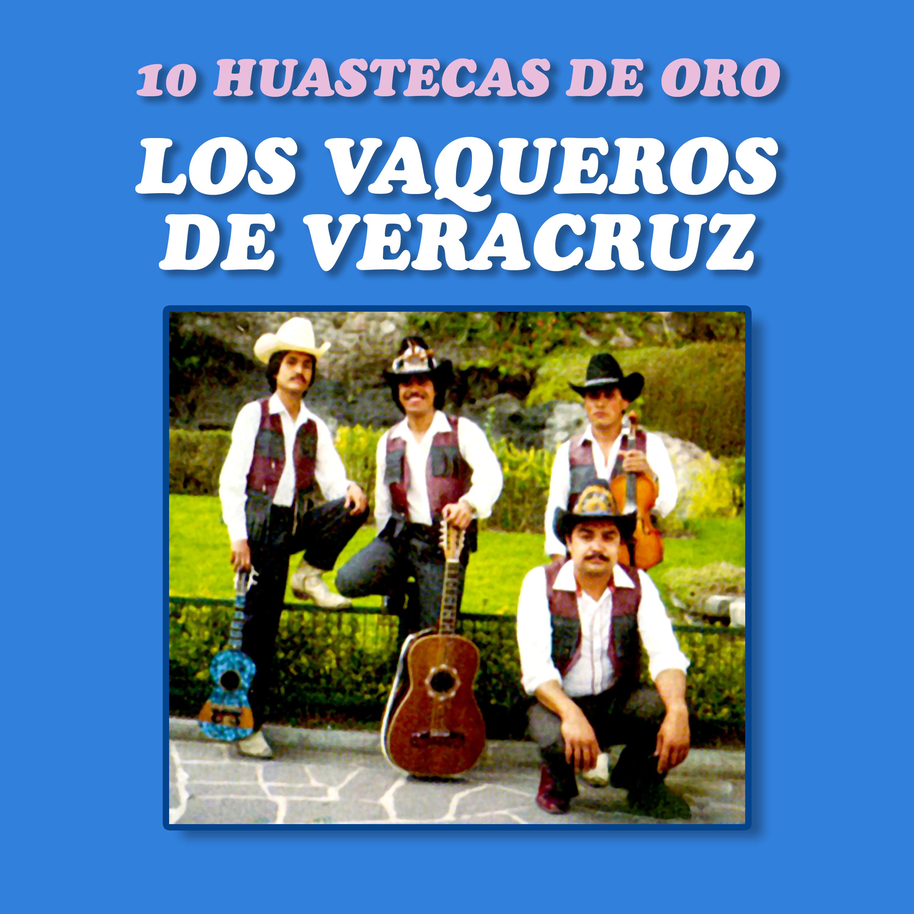 Постер альбома 10 Huastecas De Oro