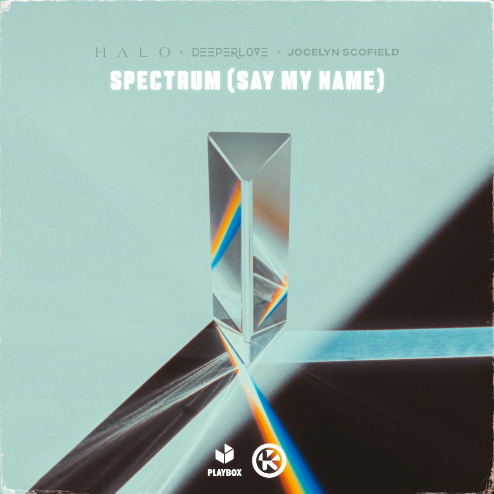 Постер альбома Spectrum (Say My Name)