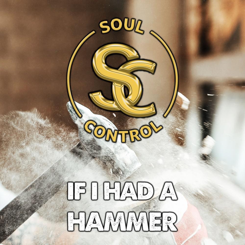 Постер альбома If I Had a Hammer (Radio Version)