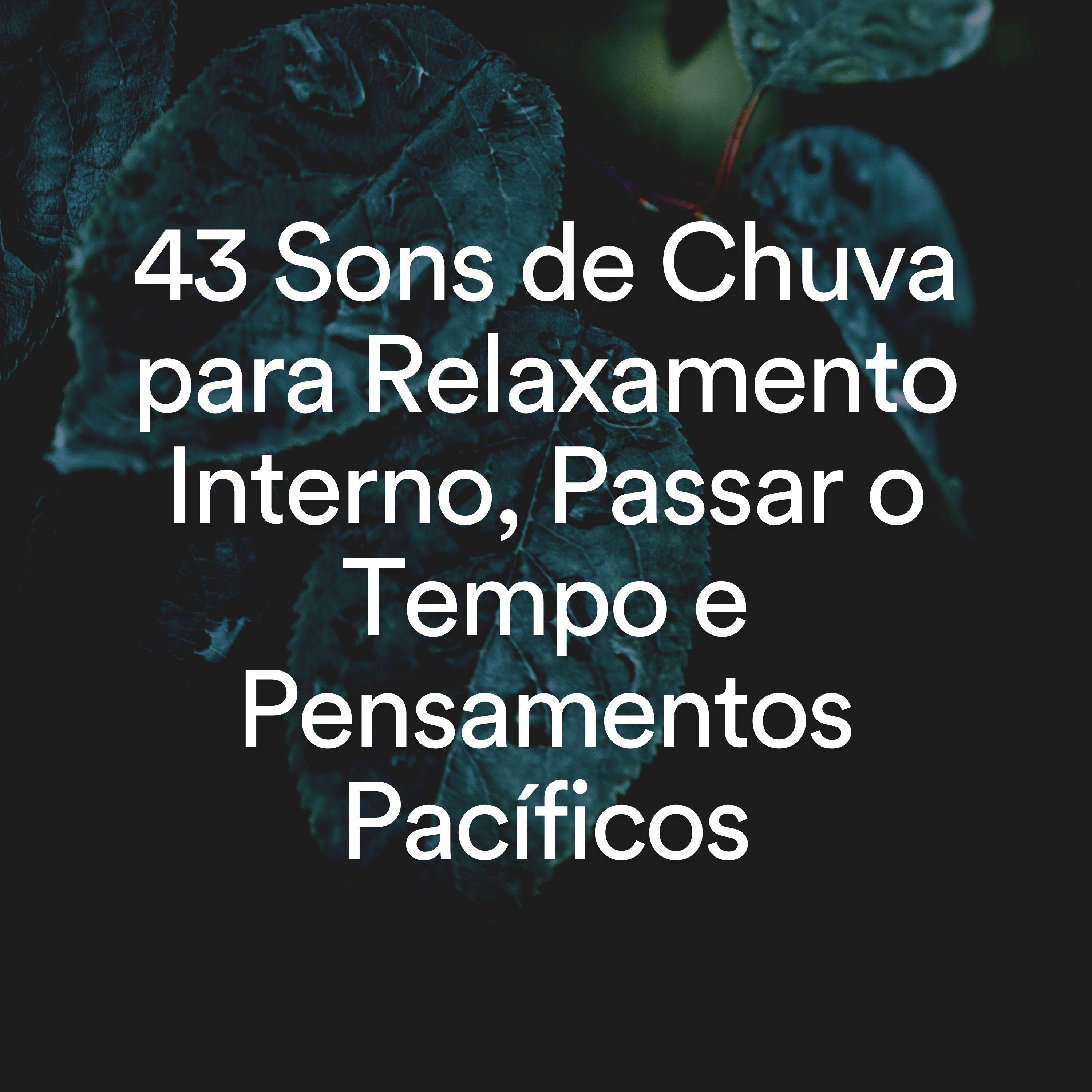 Постер альбома 43 Sons de Chuva para Relaxamento Interno, Passar o Tempo e Pensamentos Pacíficos