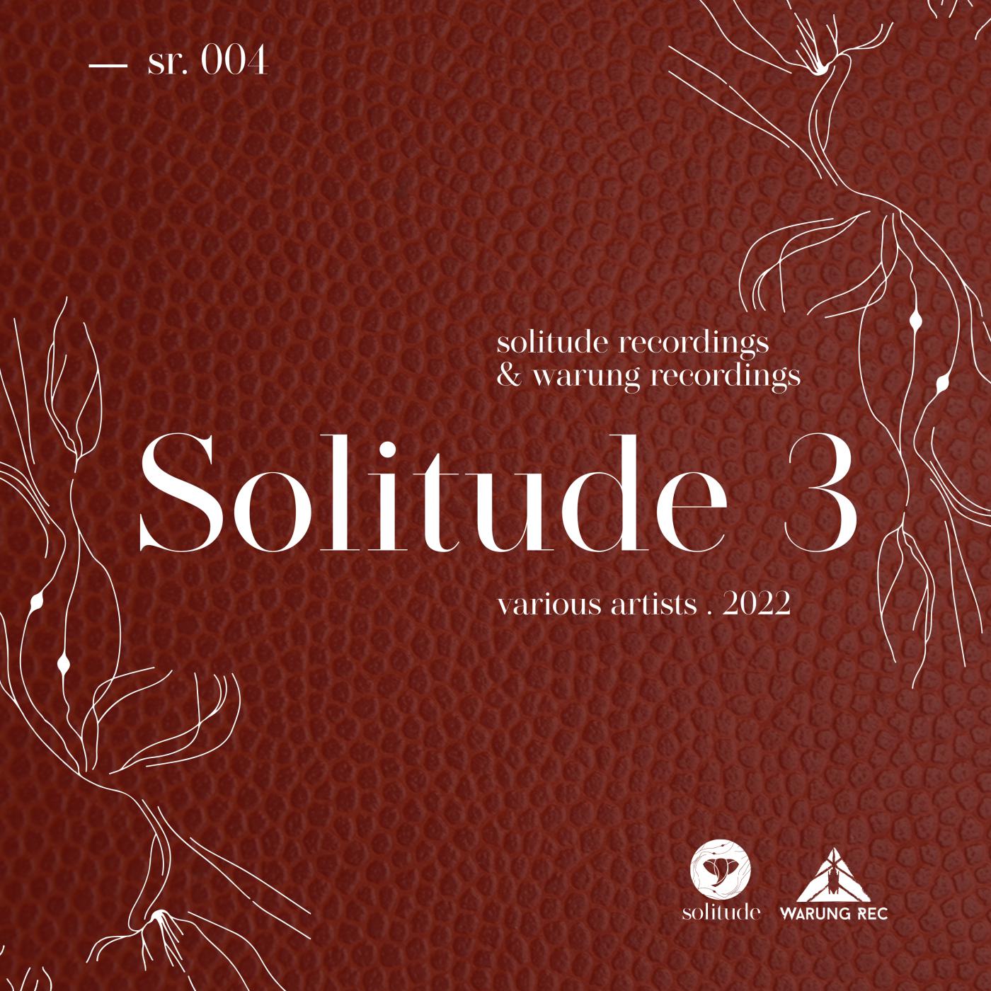 Постер альбома Solitude VA 3