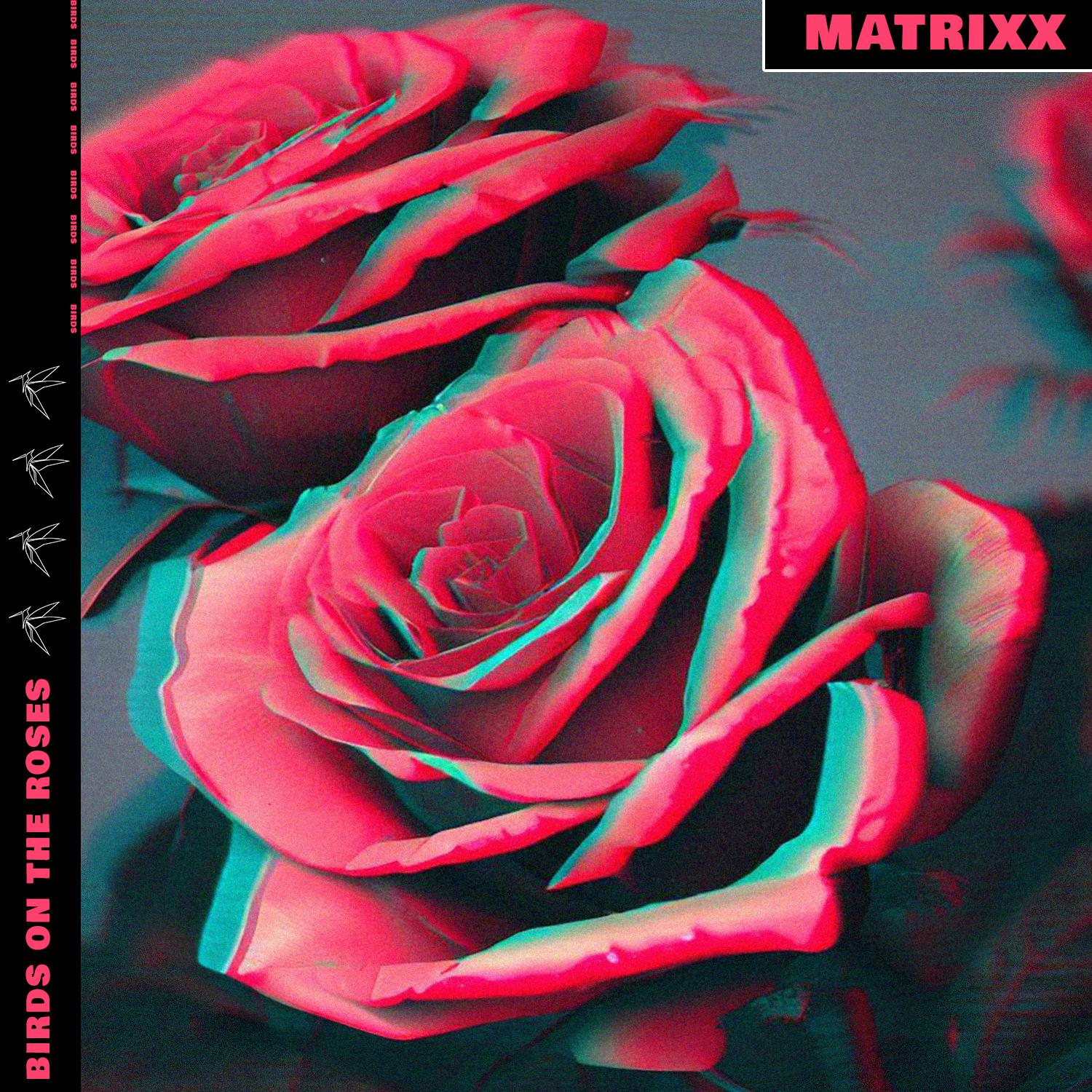 Постер альбома Matrixx