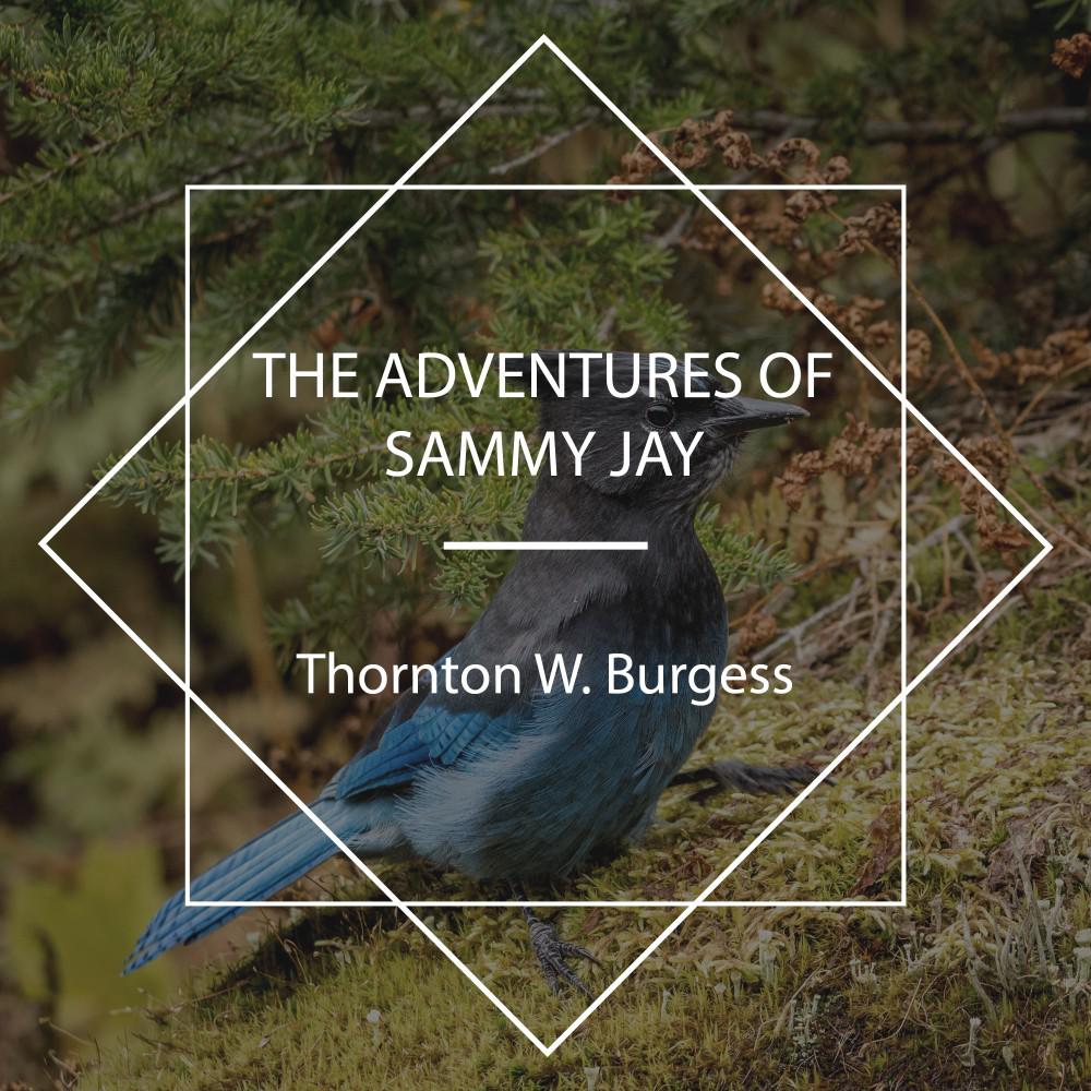 Постер альбома The Adventures of Sammy Jay
