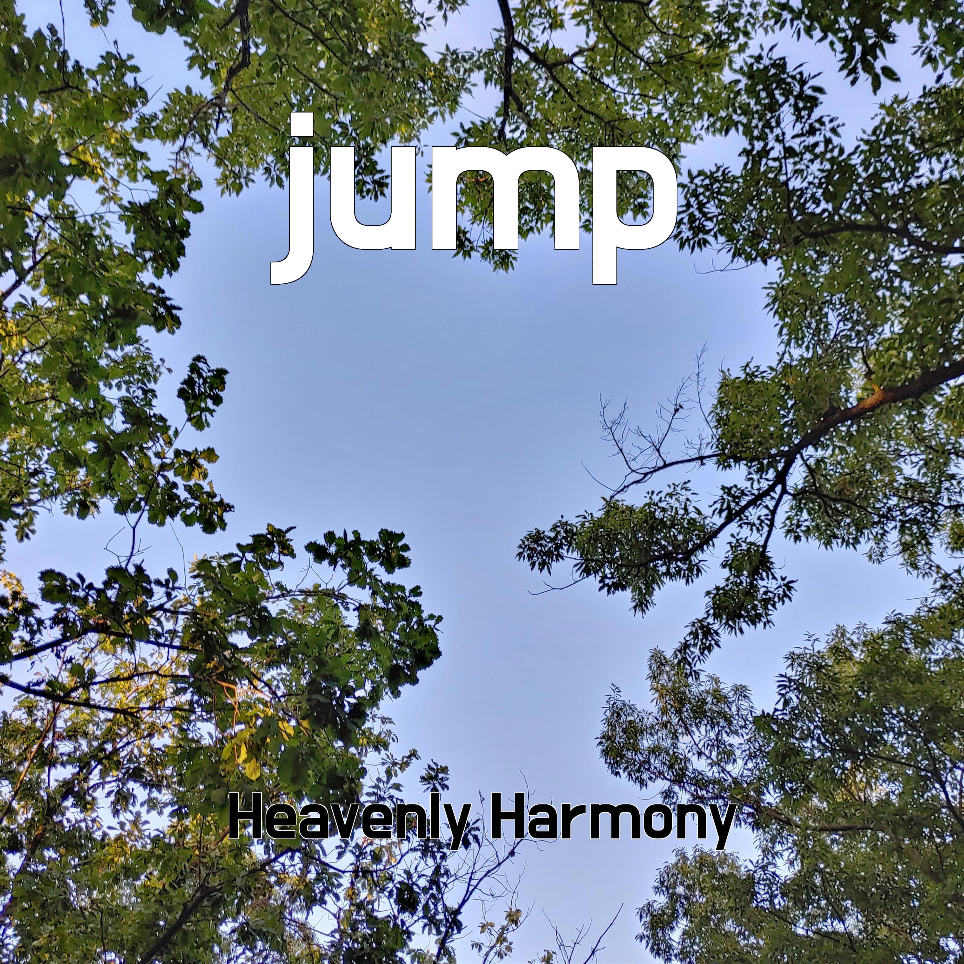 Постер альбома jump