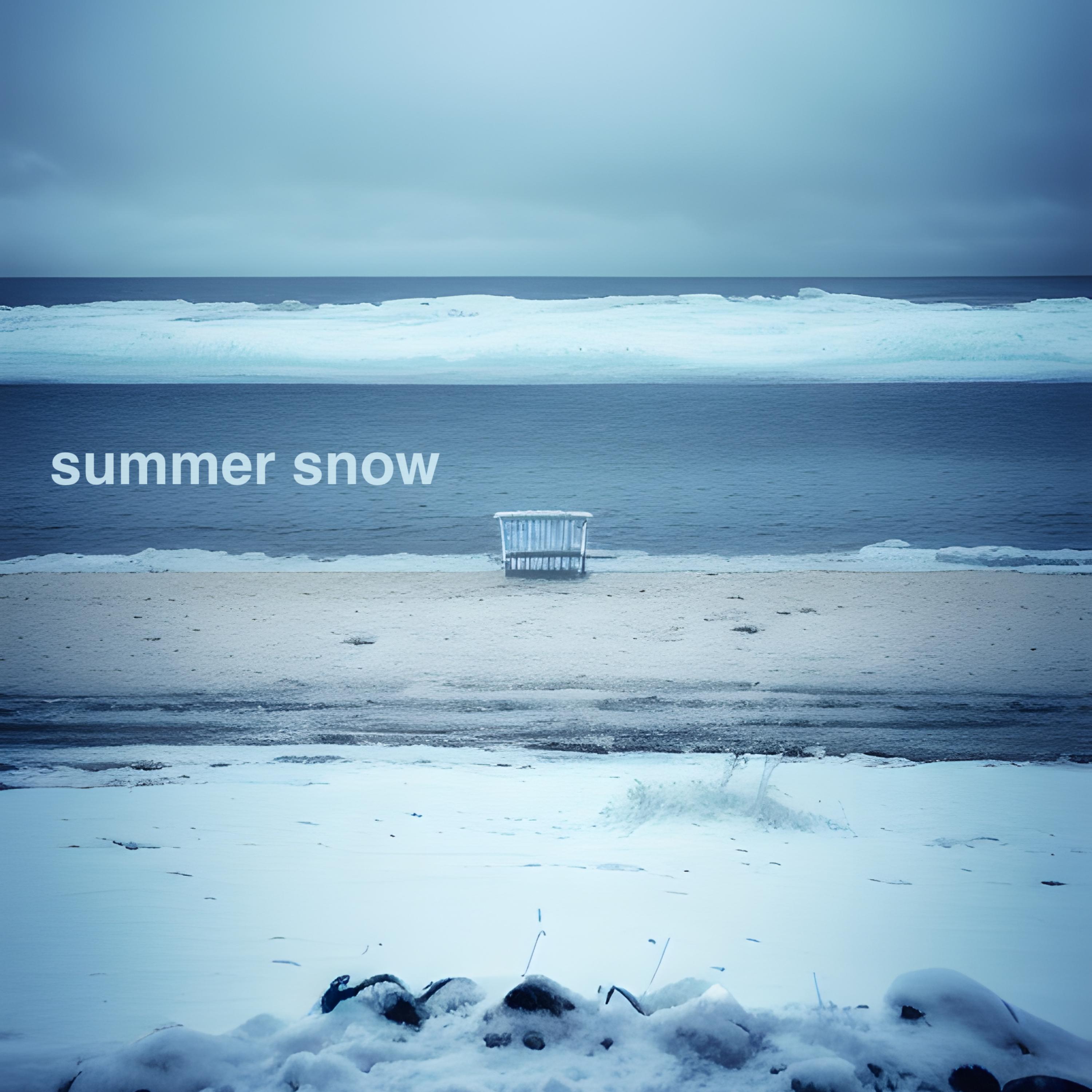 Постер альбома Summer Snow