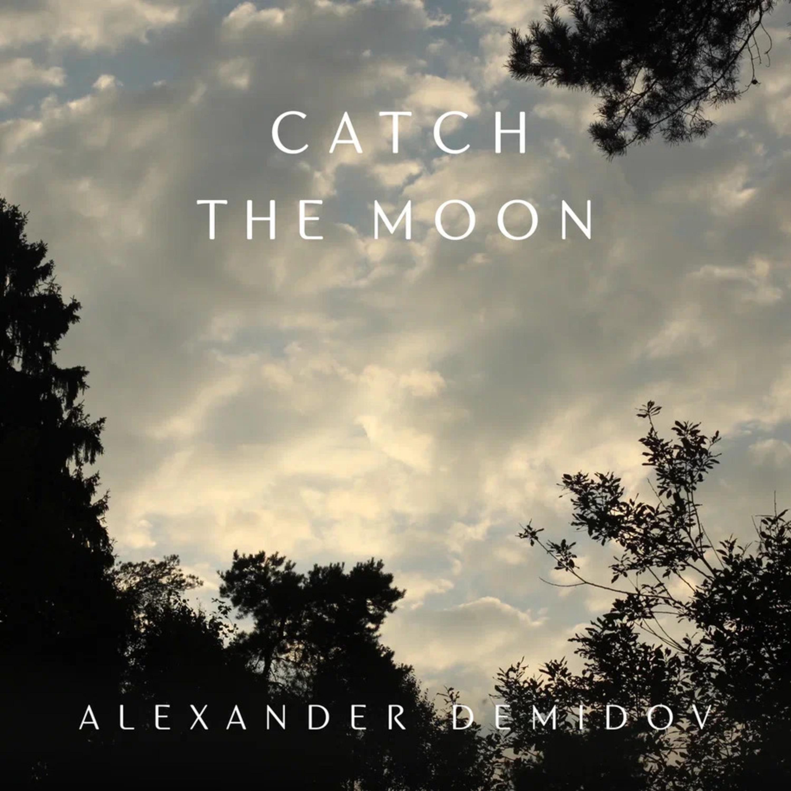 Постер альбома Catch the moon