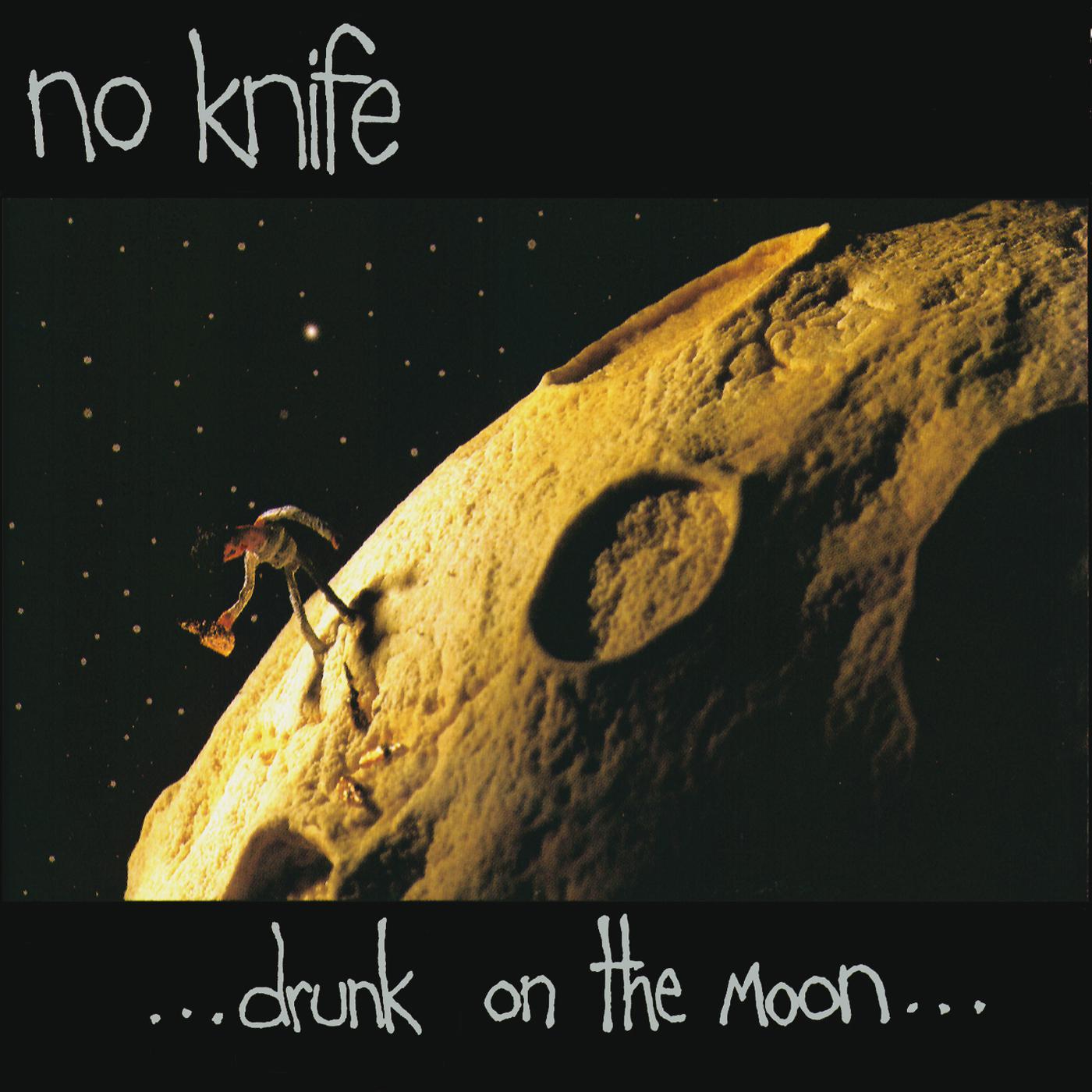 Постер альбома Drunk On The Moon