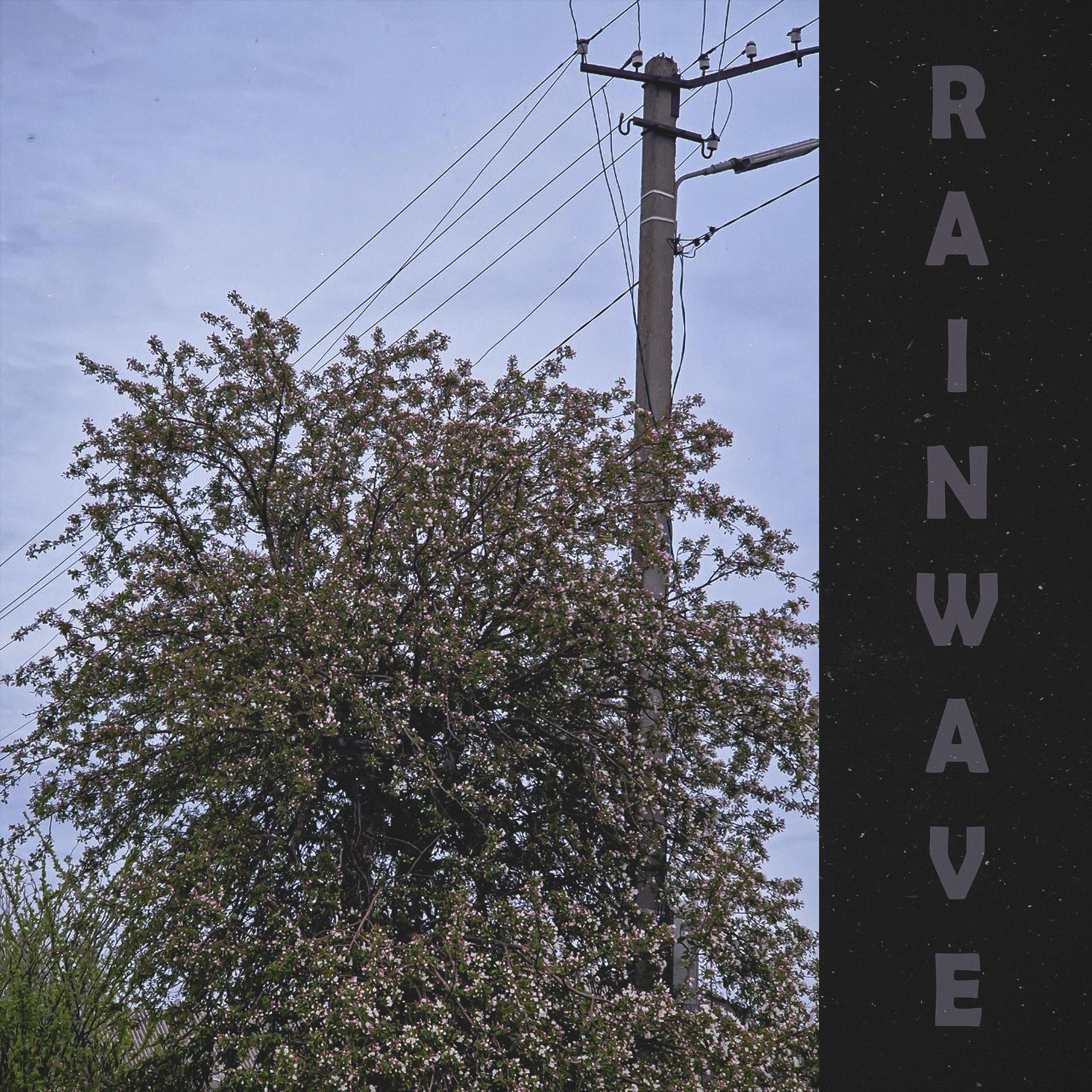 Постер альбома Rain Wave