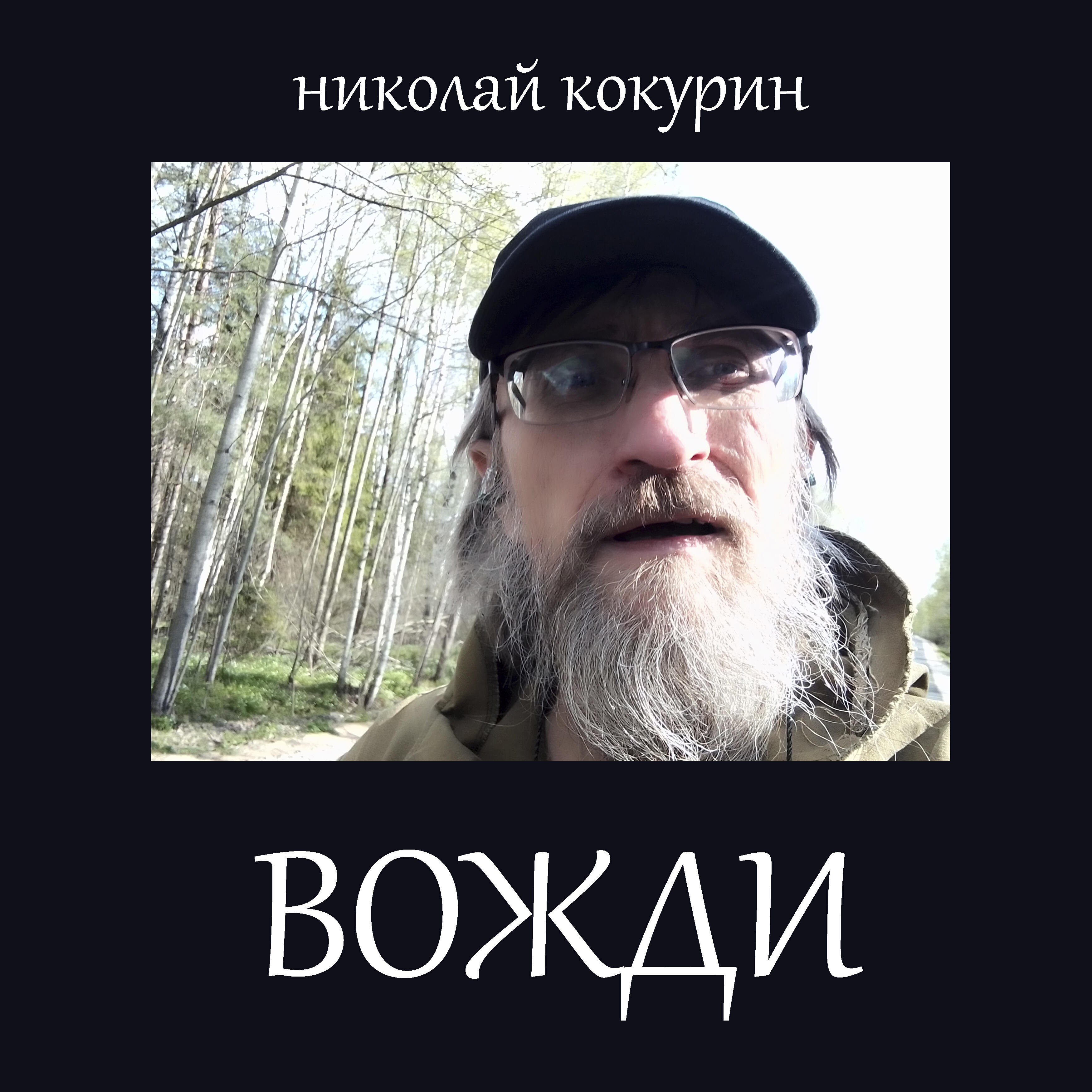 Постер альбома Вожди