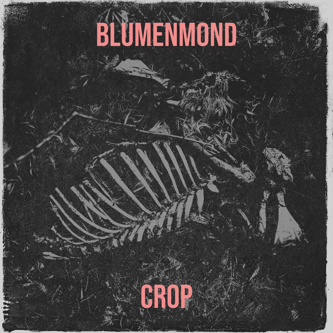 Постер альбома Blumenmond