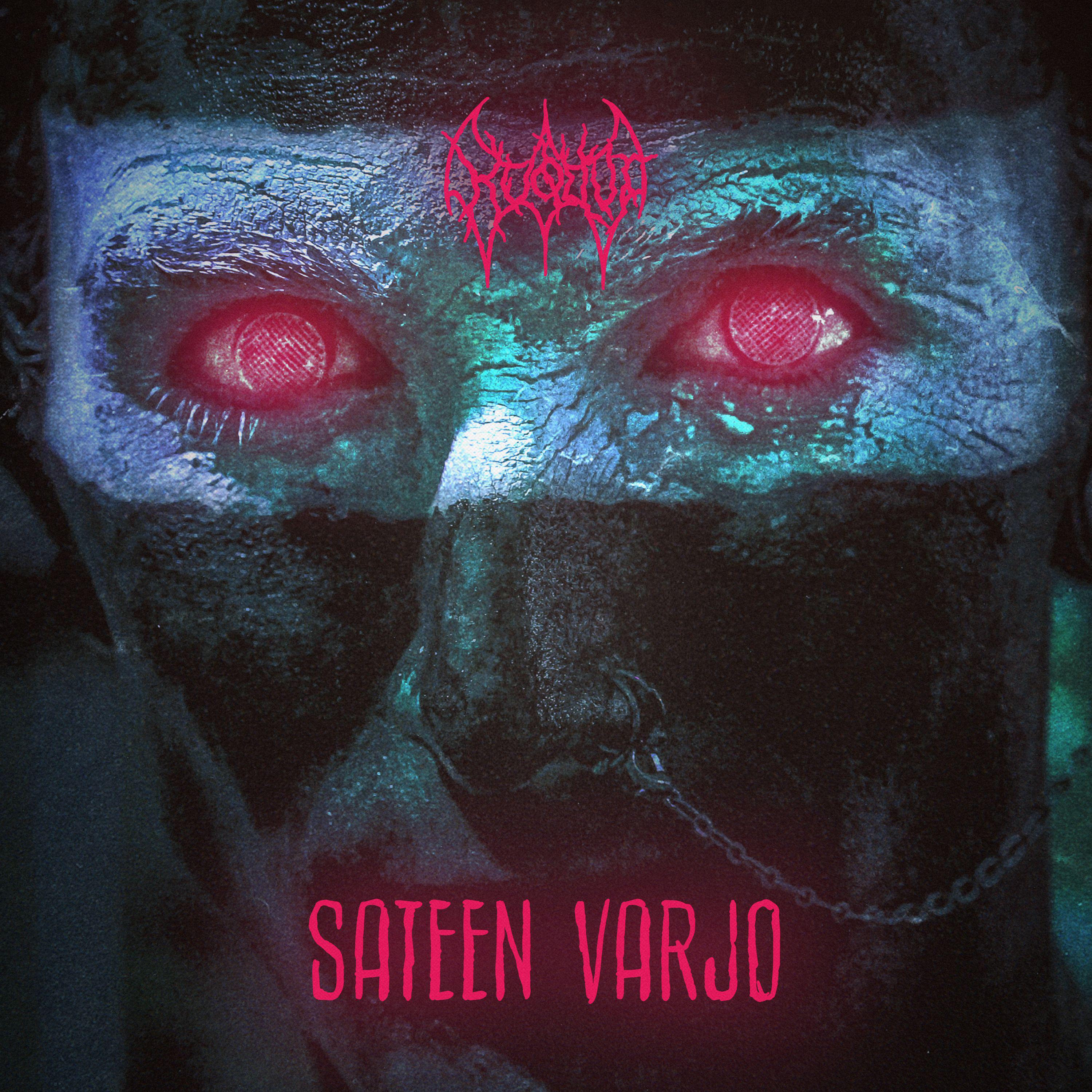 Постер альбома Sateen Varjo