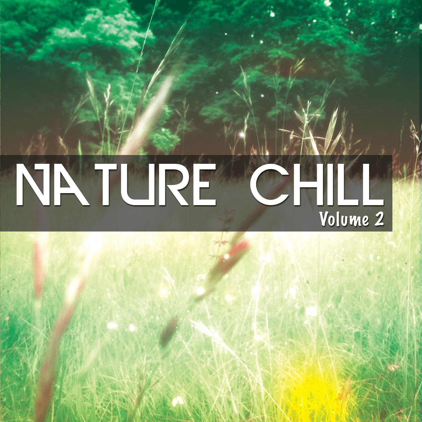 Постер альбома Nature Chill, Vol. 2
