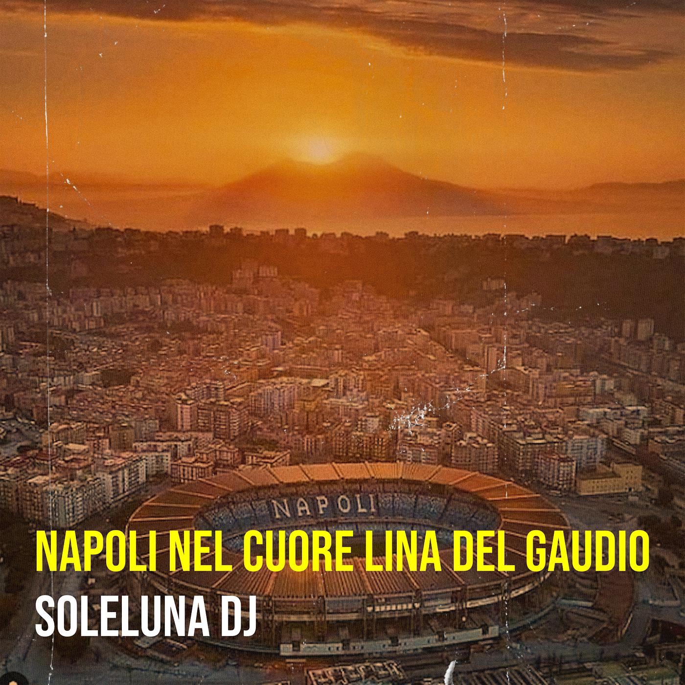 Постер альбома Napoli nel cuore Lina Del Gaudio