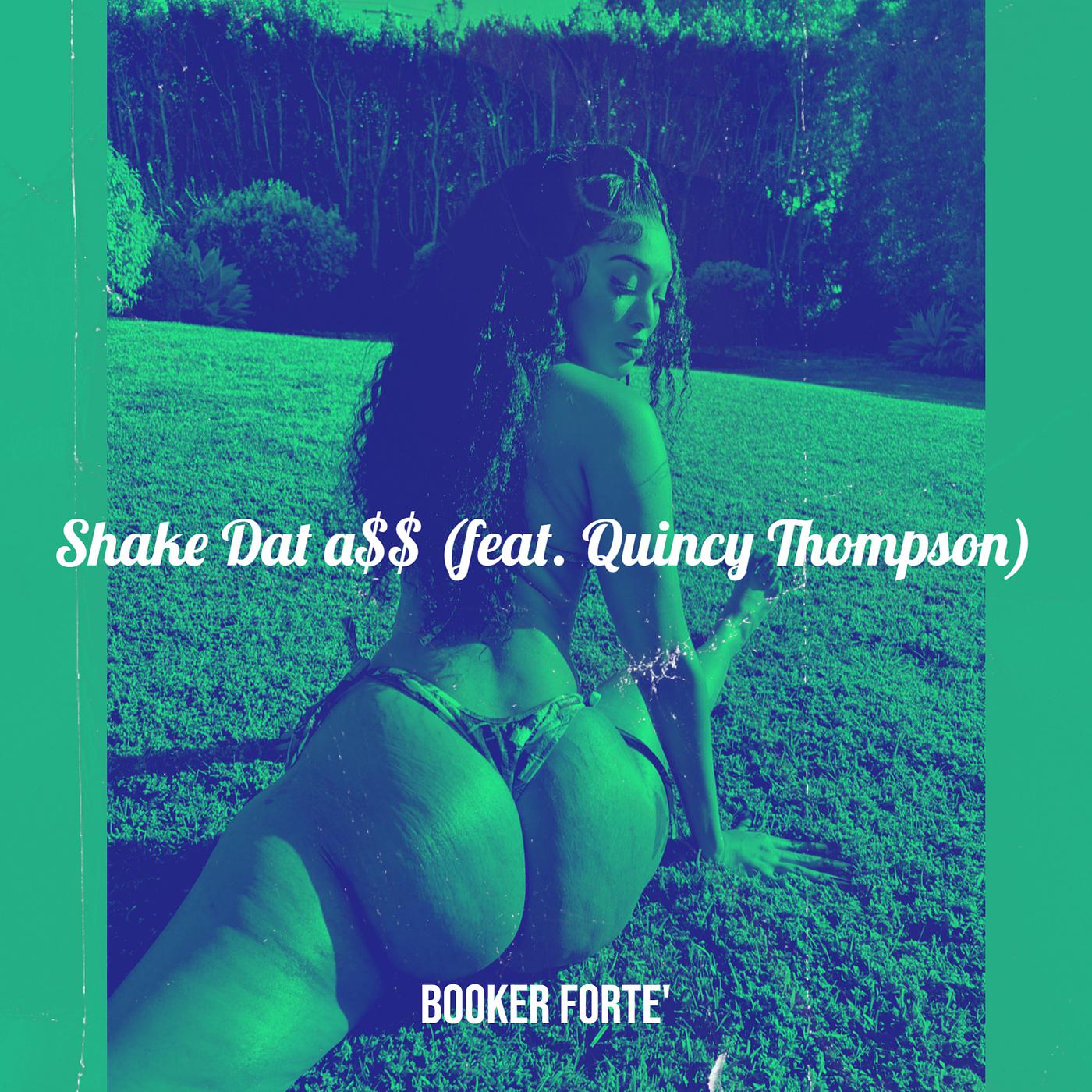 Постер альбома Shake Dat a$$