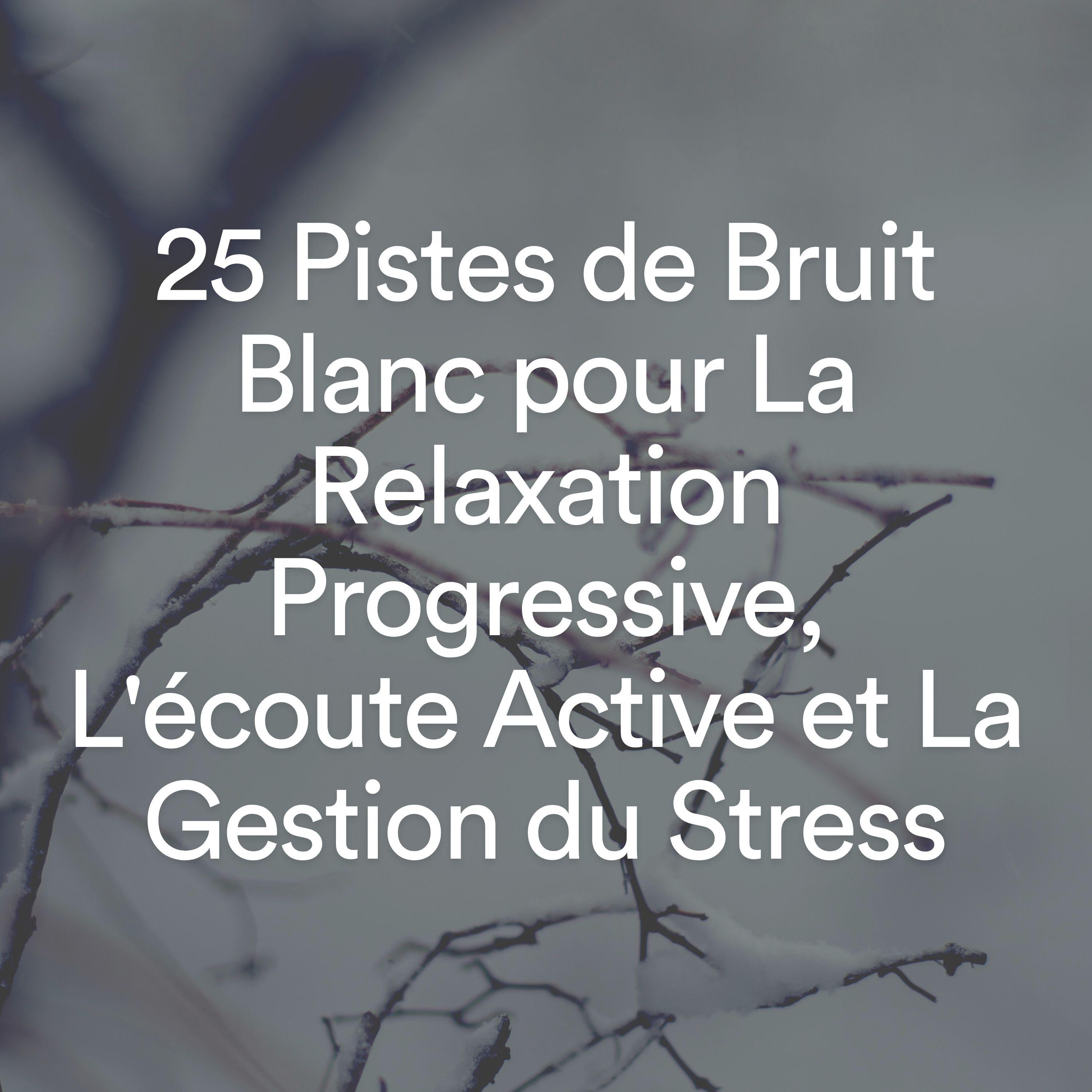 Постер альбома 25 Pistes de Bruit Blanc pour La Relaxation Progressive, L'écoute Active et La Gestion du Stress