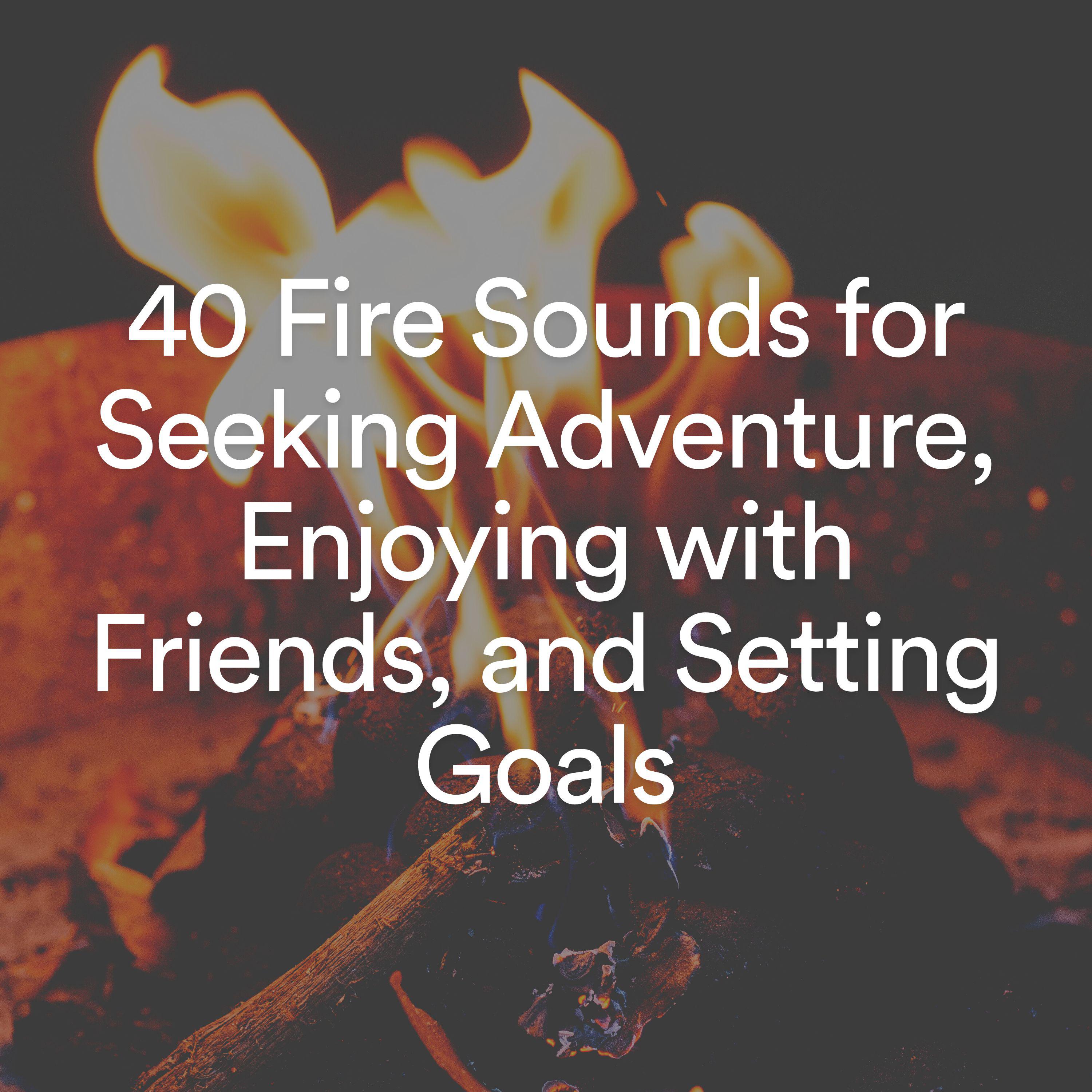 Постер альбома 40 Fire Sounds for Seeking Adventure, Enjoying with Friends, and Setting Goals