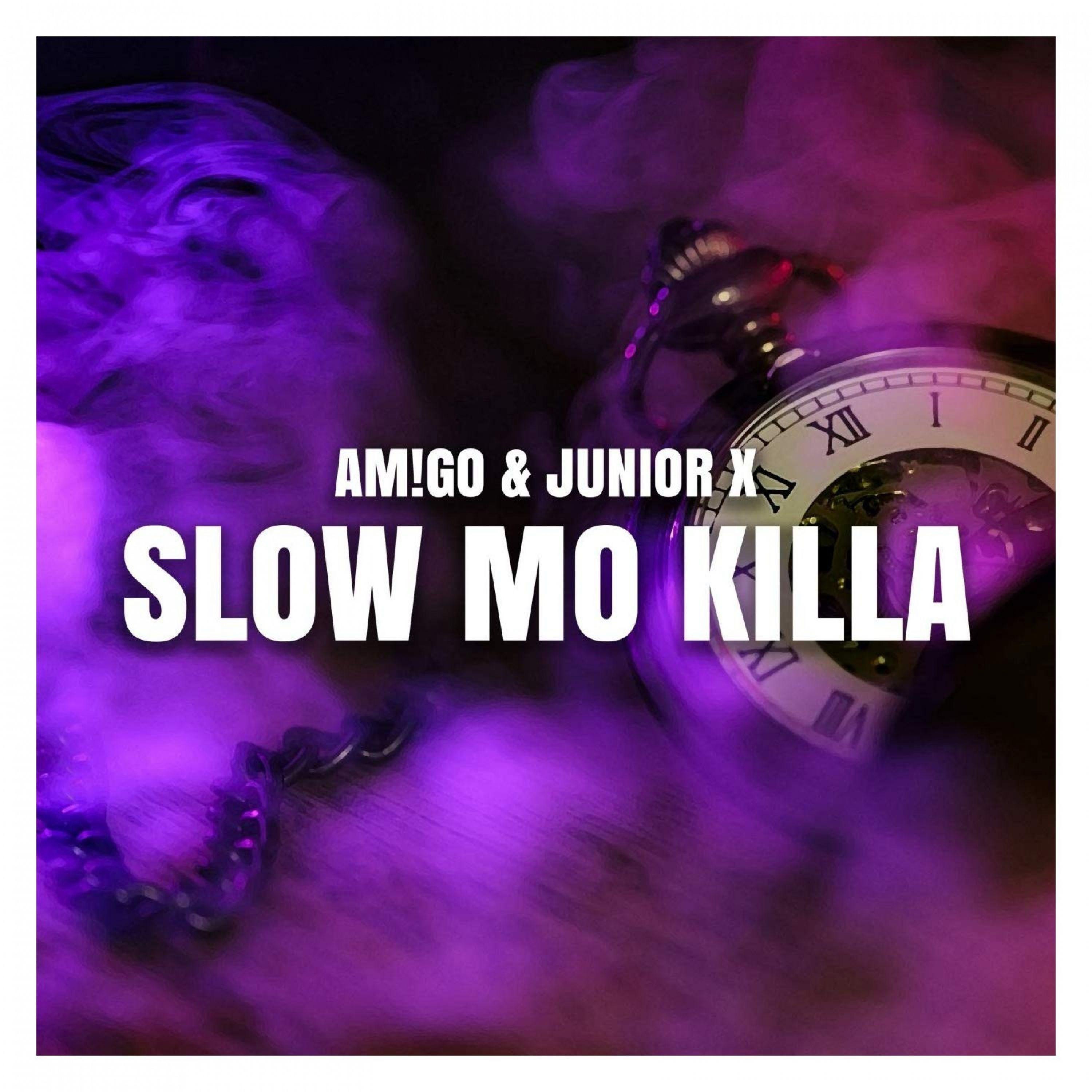 Постер альбома Slow Mo Killa