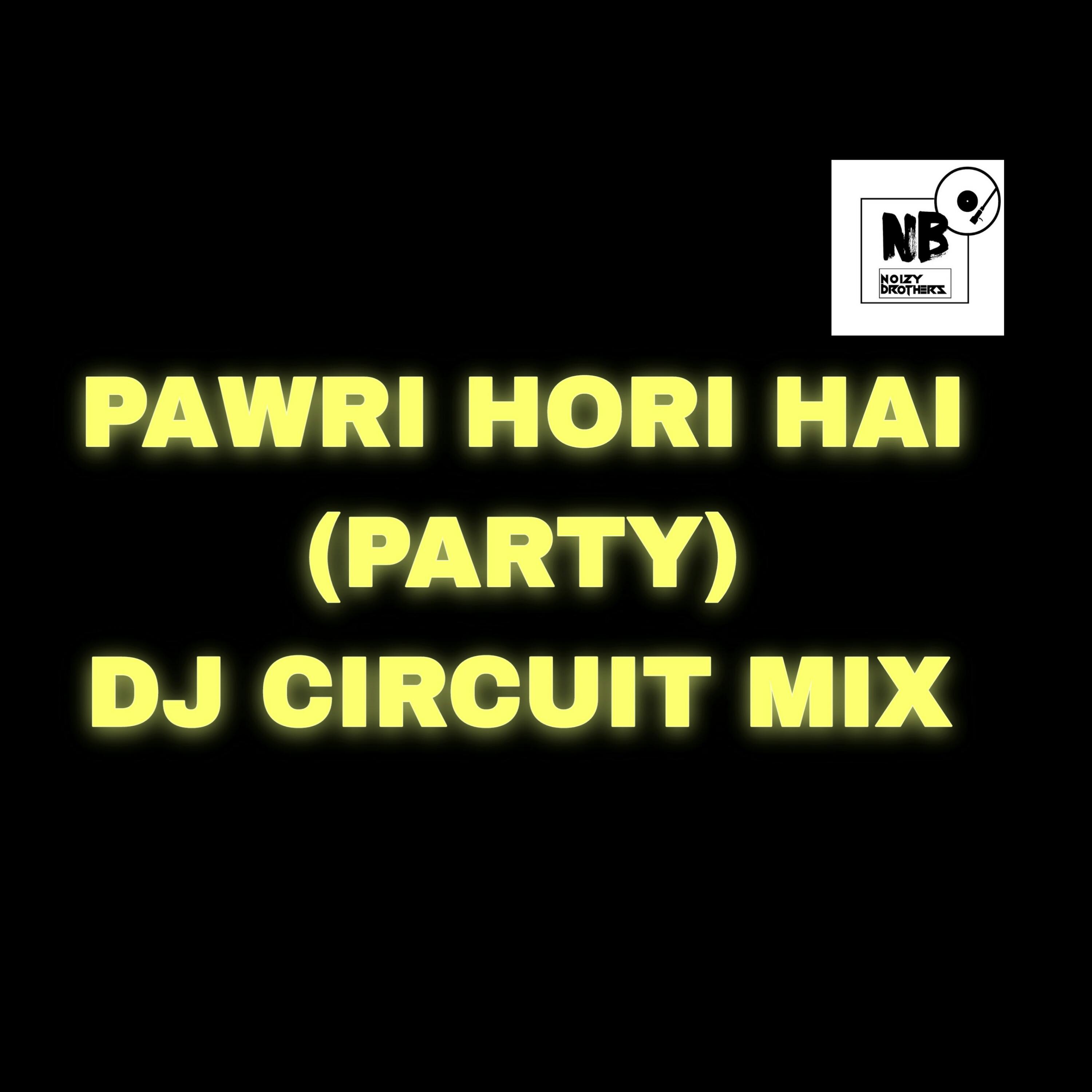 Постер альбома Pawri Hori Hai (Party) Tiktok