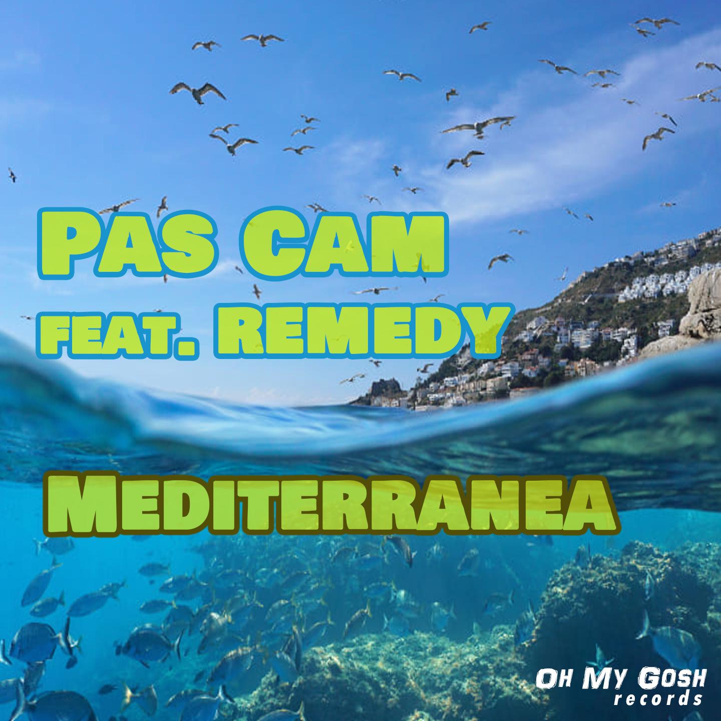 Постер альбома Mediterranea