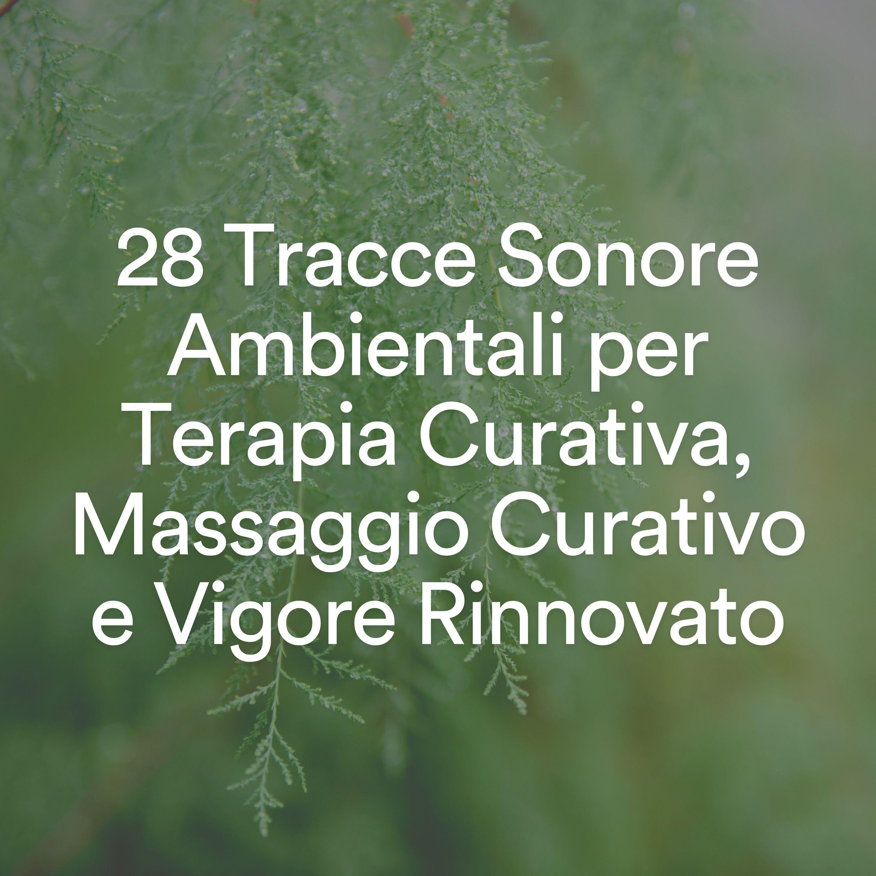 Постер альбома 28 Tracce Sonore Ambientali per Terapia Curativa, Massaggio Curativo e Vigore Rinnovato