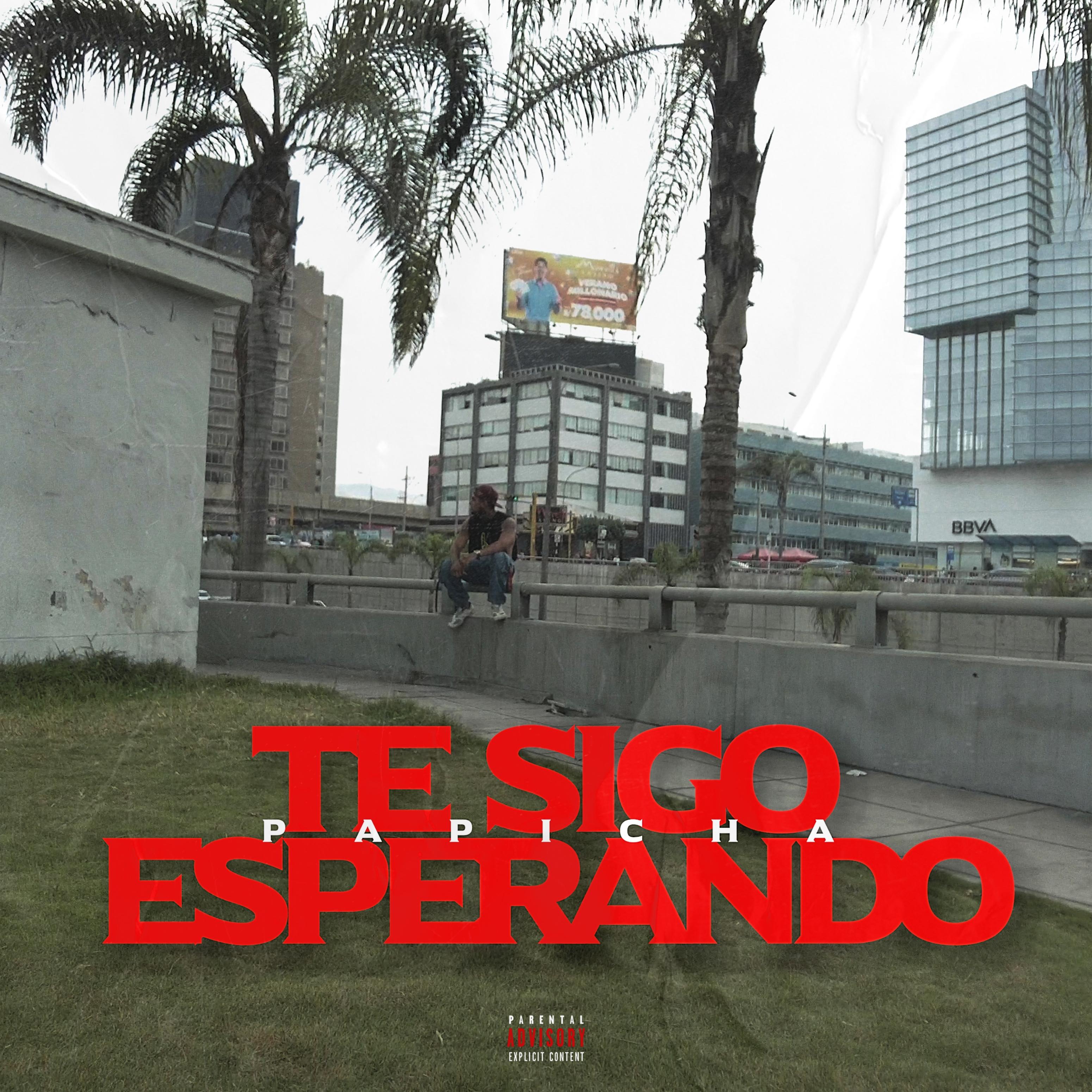 Постер альбома Te Sigo Esperando...