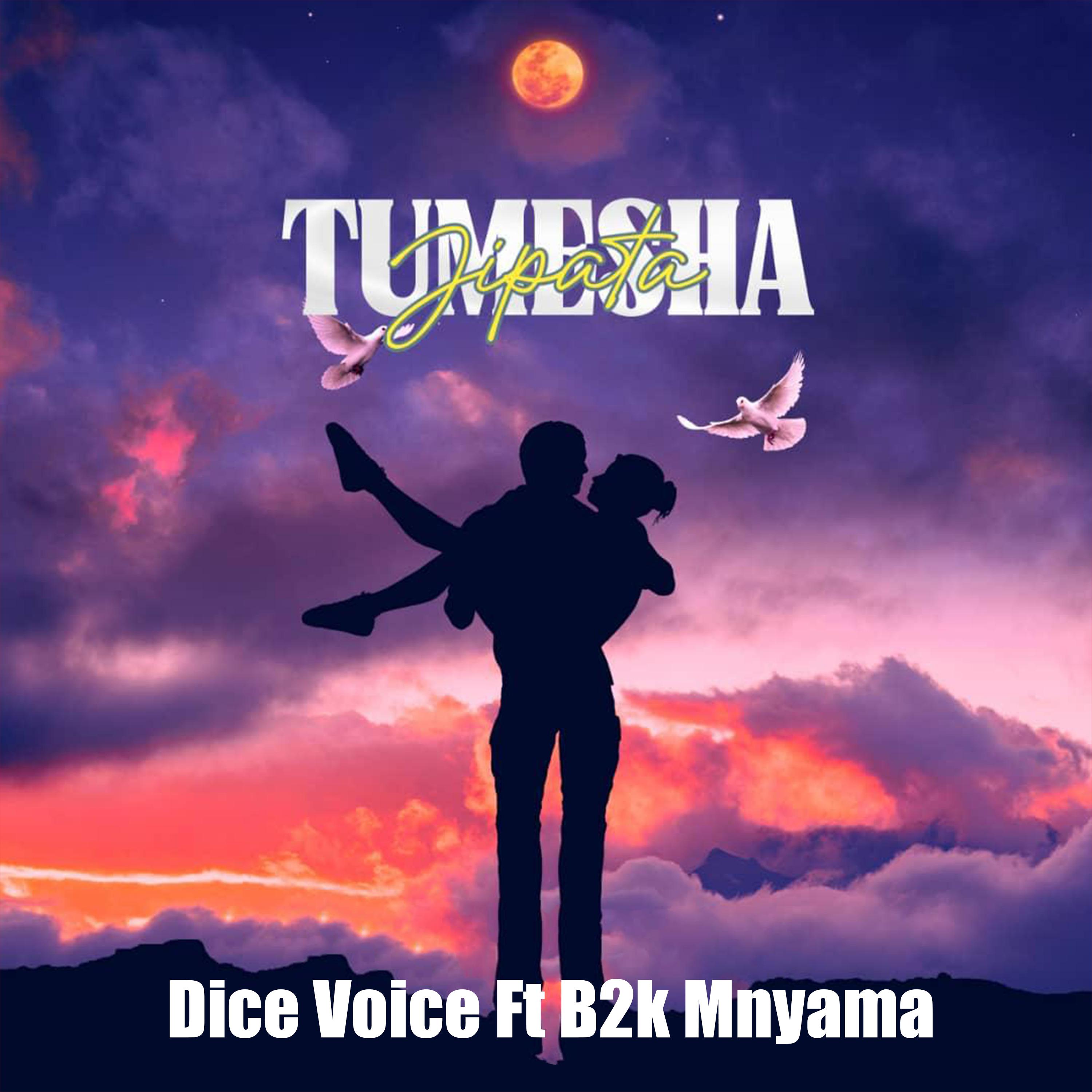 Постер альбома Tumesha Jipata