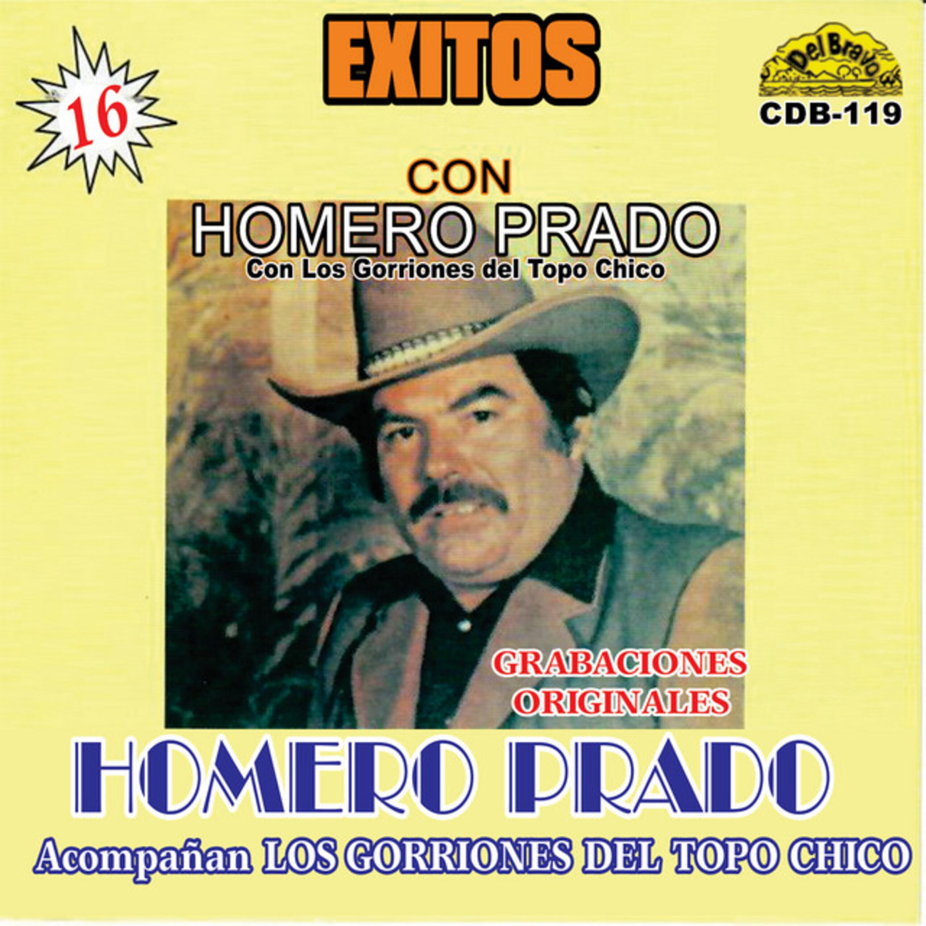 Постер альбома Éxitos Con Homero Prado: Grabaciones Originales