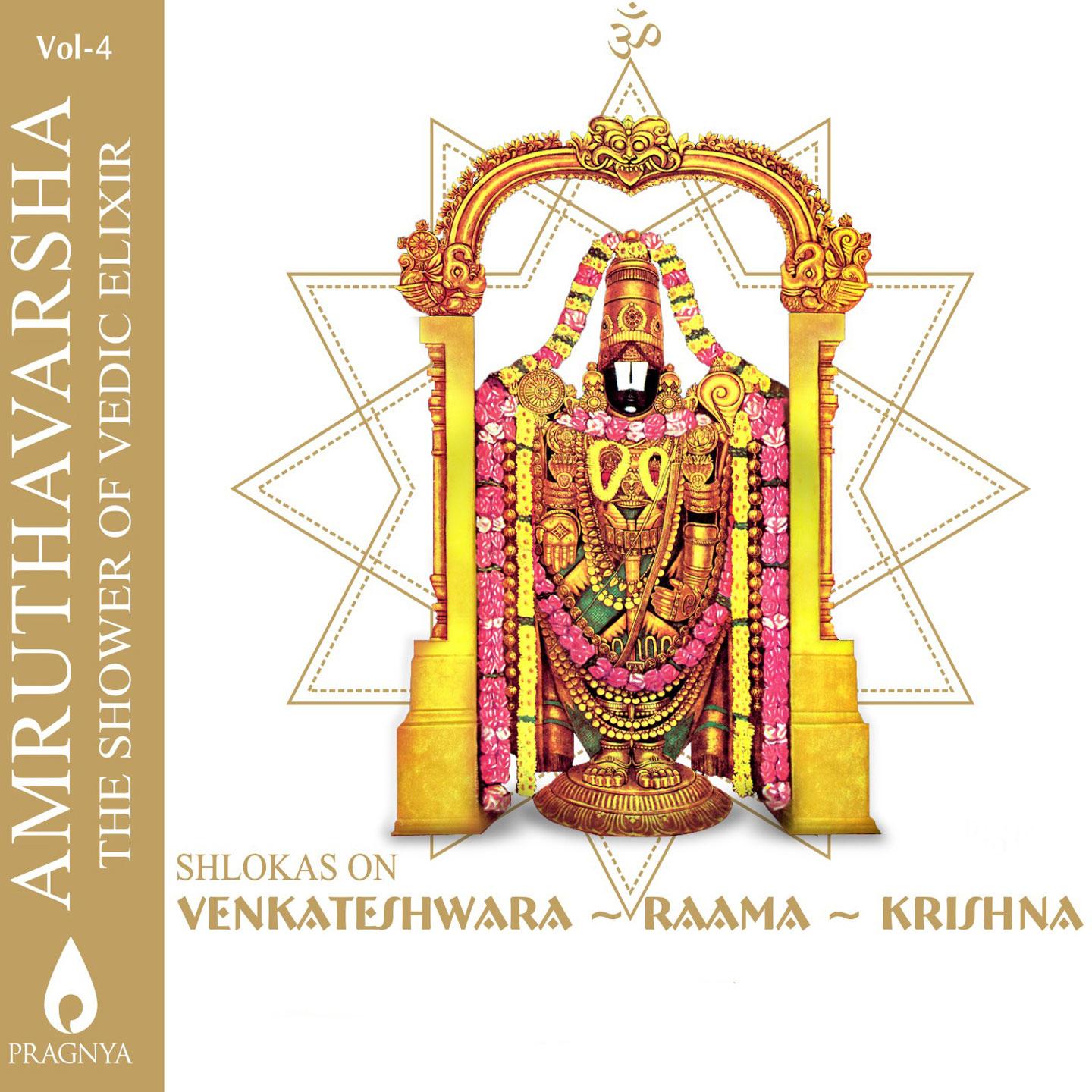 Постер альбома Amruthavarsha, Vol. 4