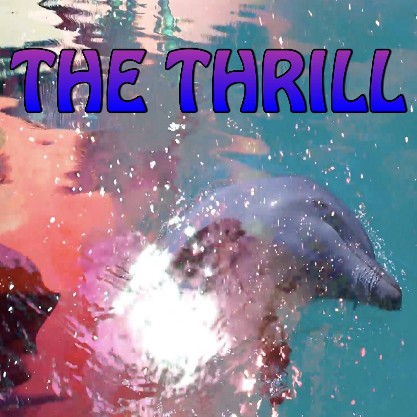T.A.C Nation - The Thrill - Tribute to Nero (Instrumental Version)