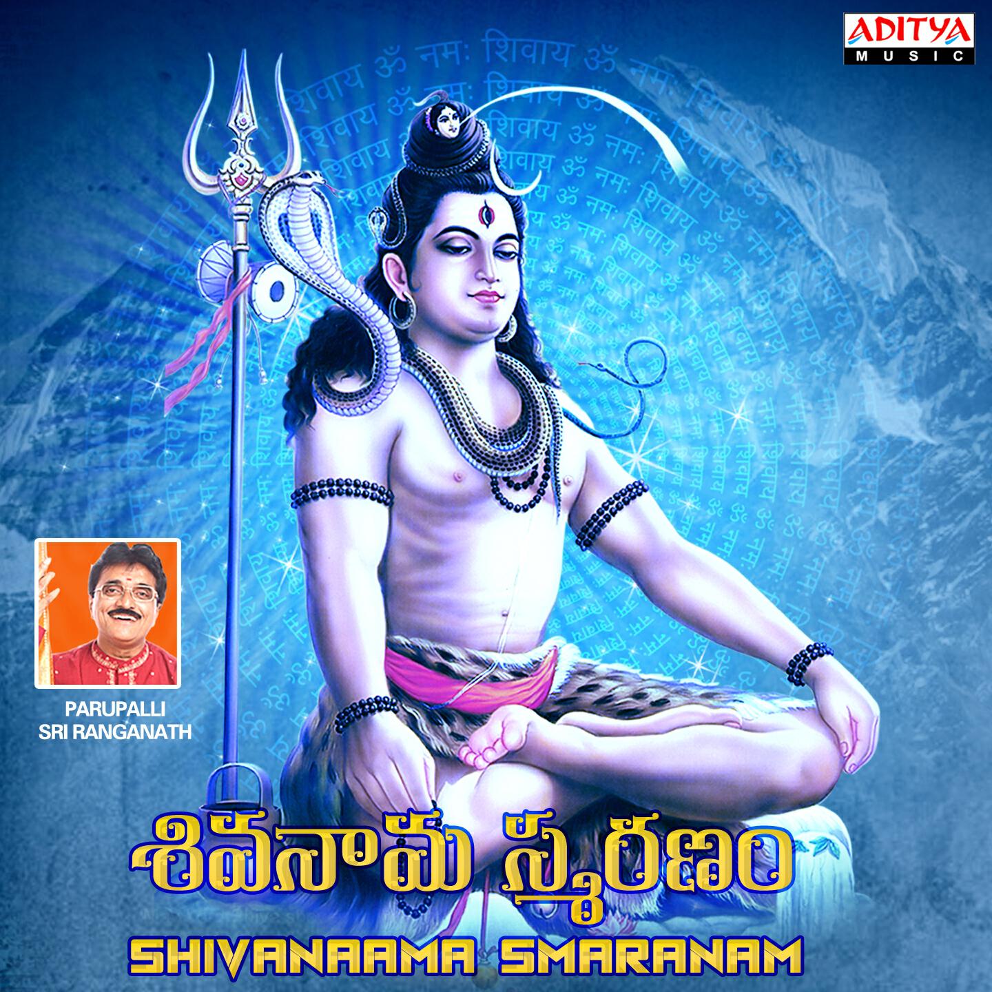Parupalli Sri Ranganath - Om Namashivaya Dhun