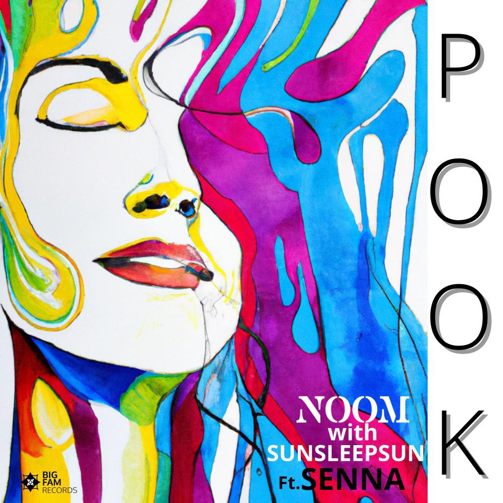 Постер альбома Pook (Radio Edit)