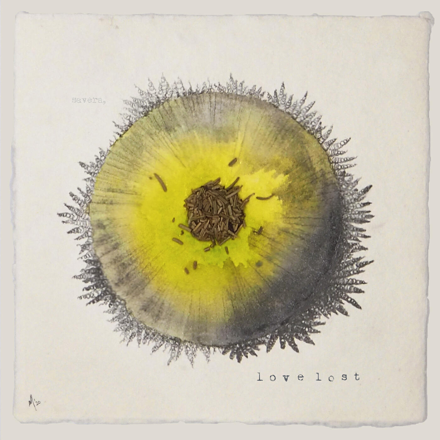 Savera - Love Lost