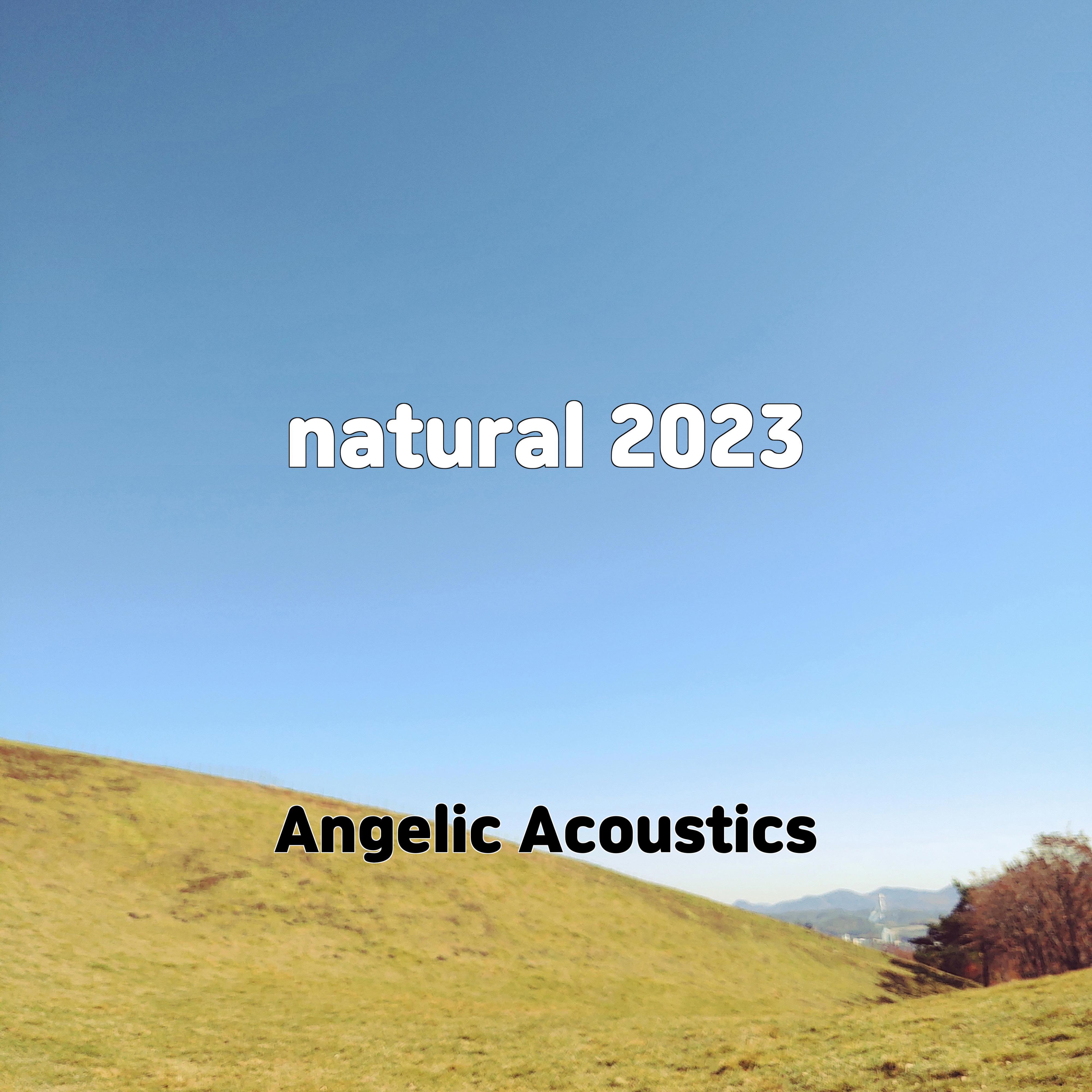 Постер альбома natural 2023